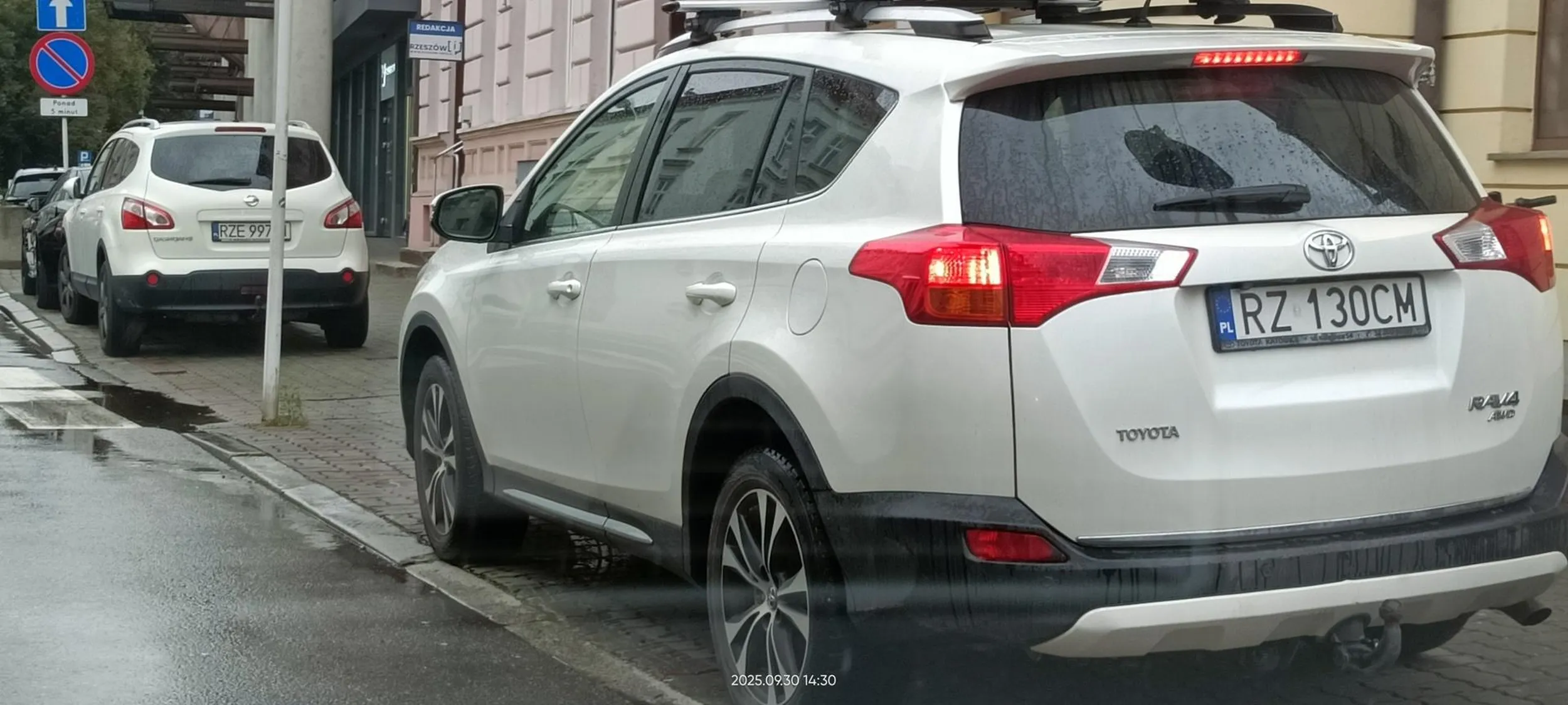 Święta krowa chodnikowa.