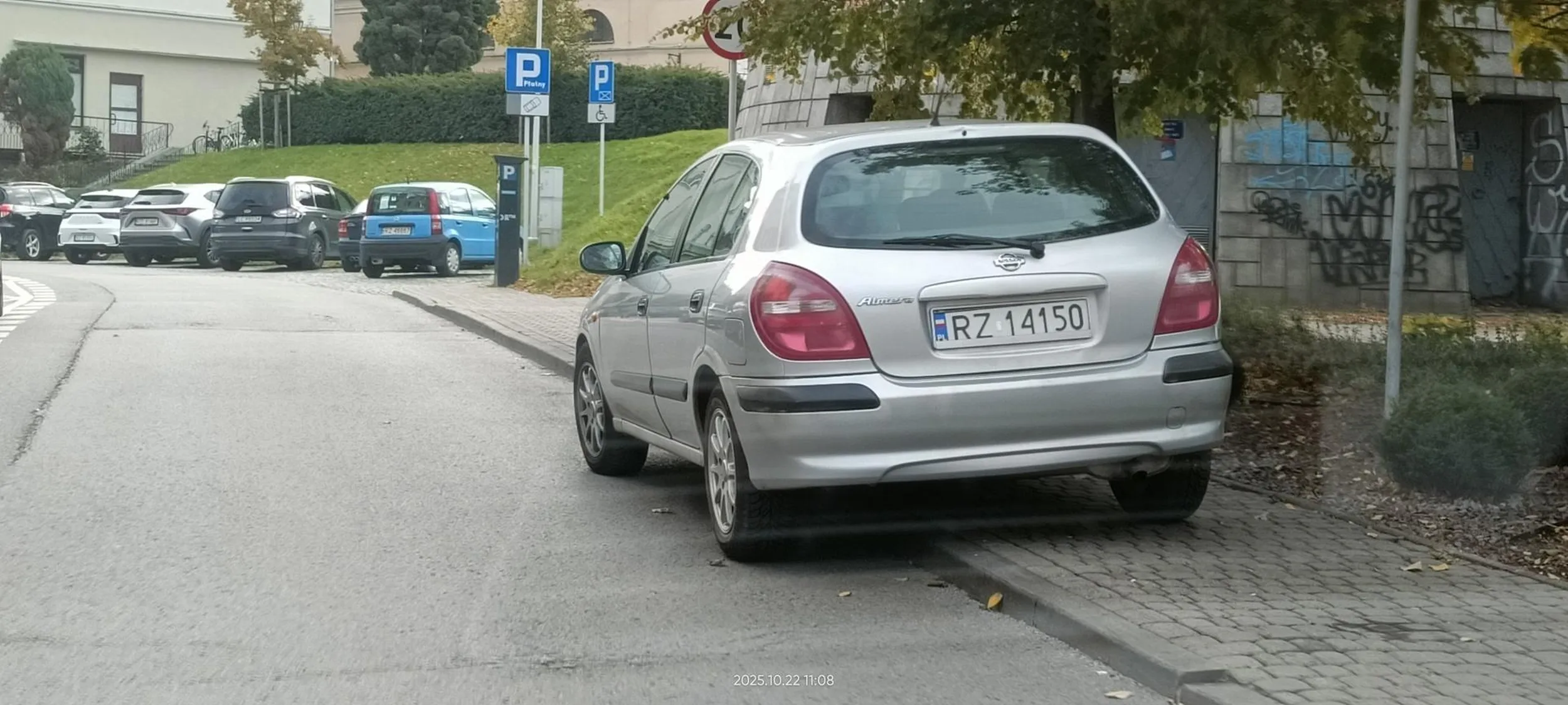 Święta krowa chodnikowa.