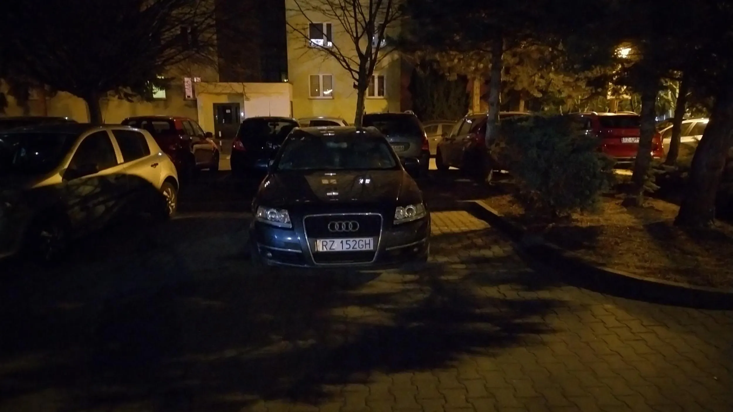 No pięknie stoisz bęcwale, jak król