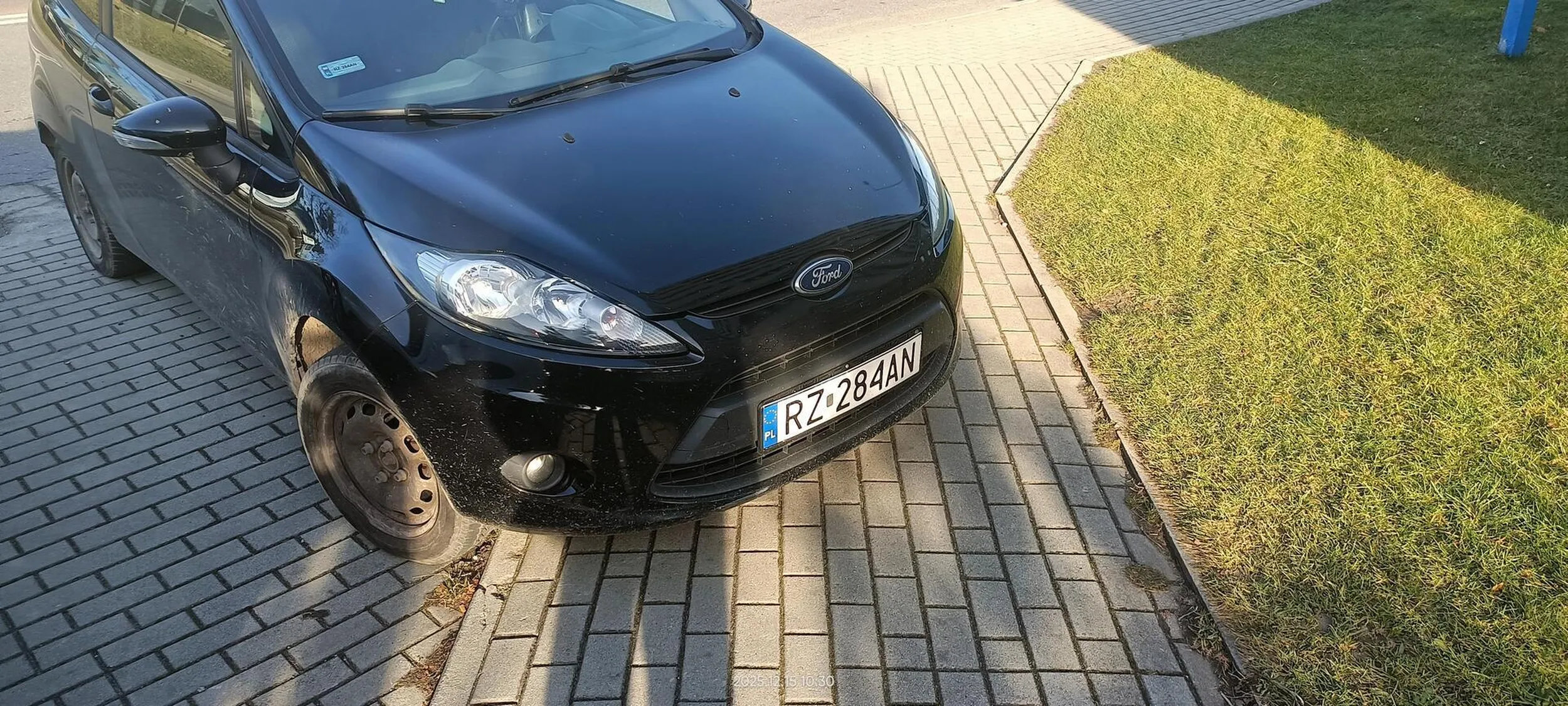 Święta krowa chodnikowa.