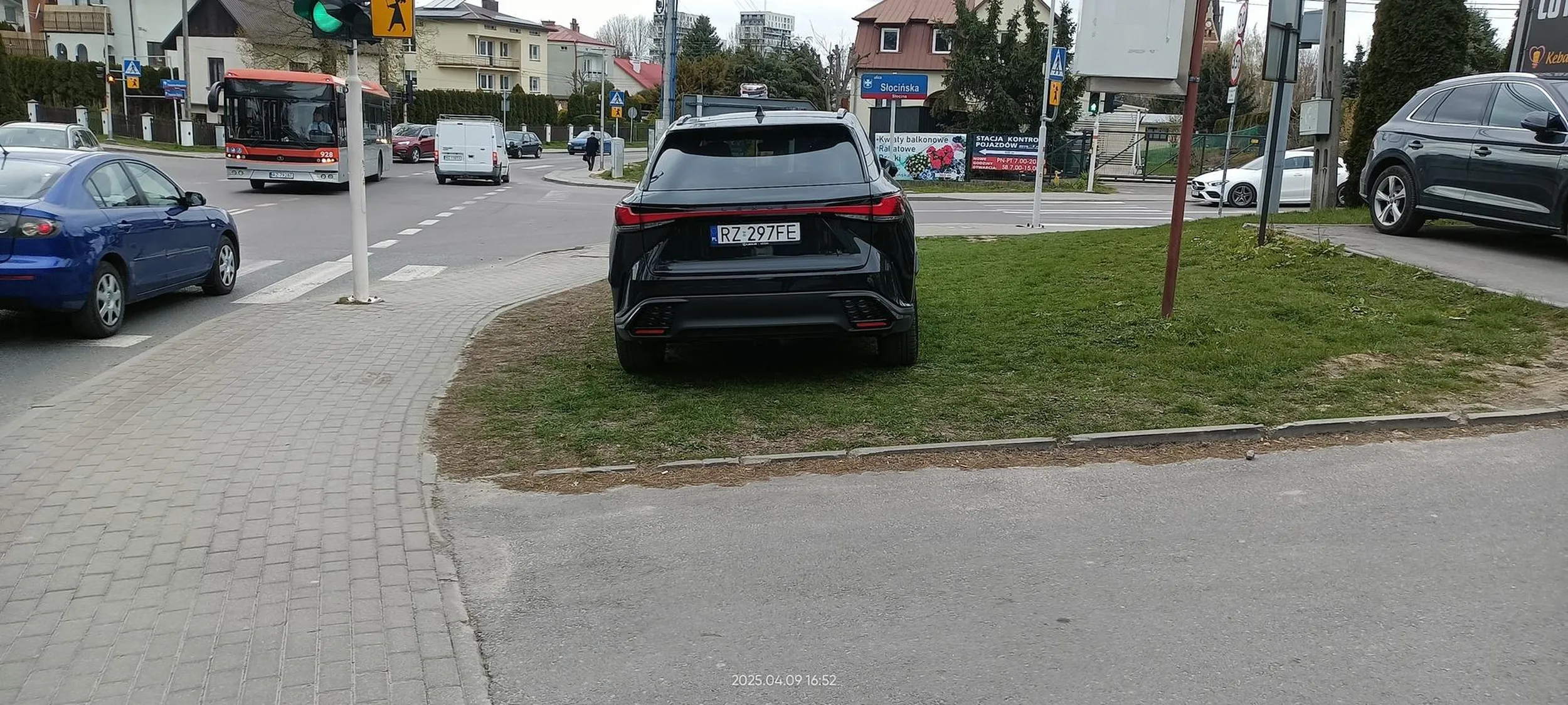 Święta krowa trawnikowa.