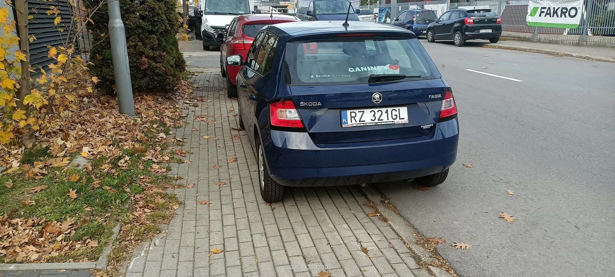 Święta krowa chodnikowa