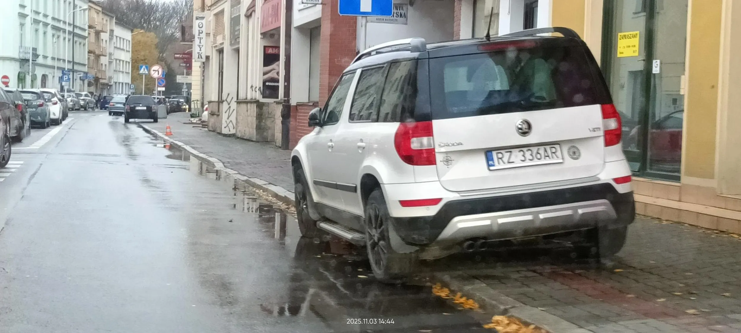 Święta krowa chodnikowa