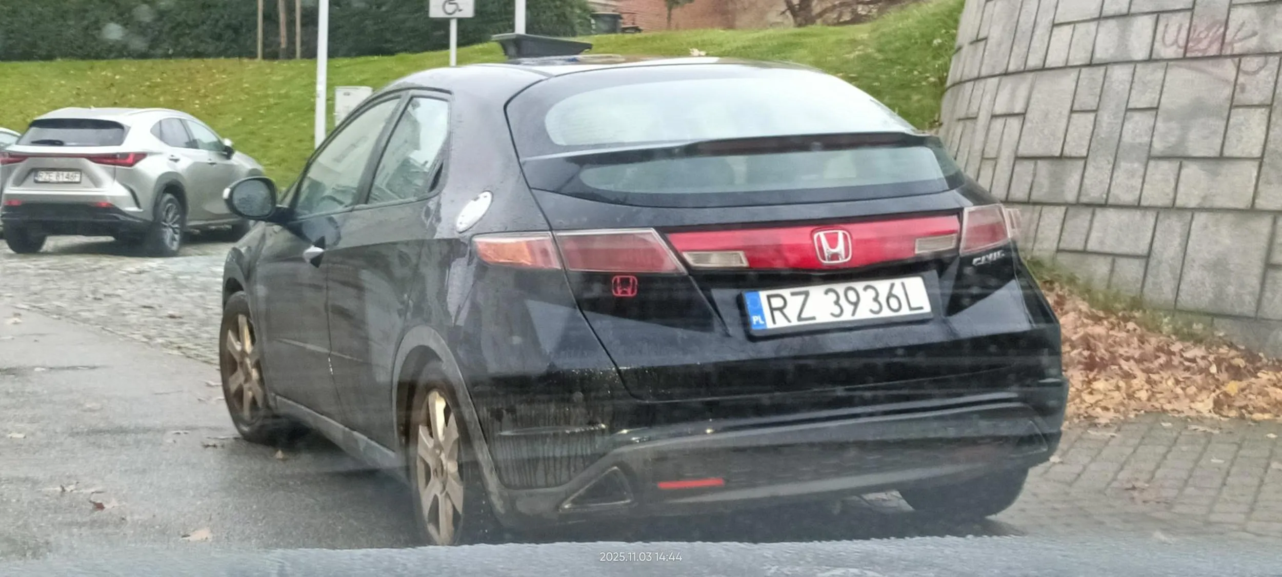 Święta krowa chodnikowa