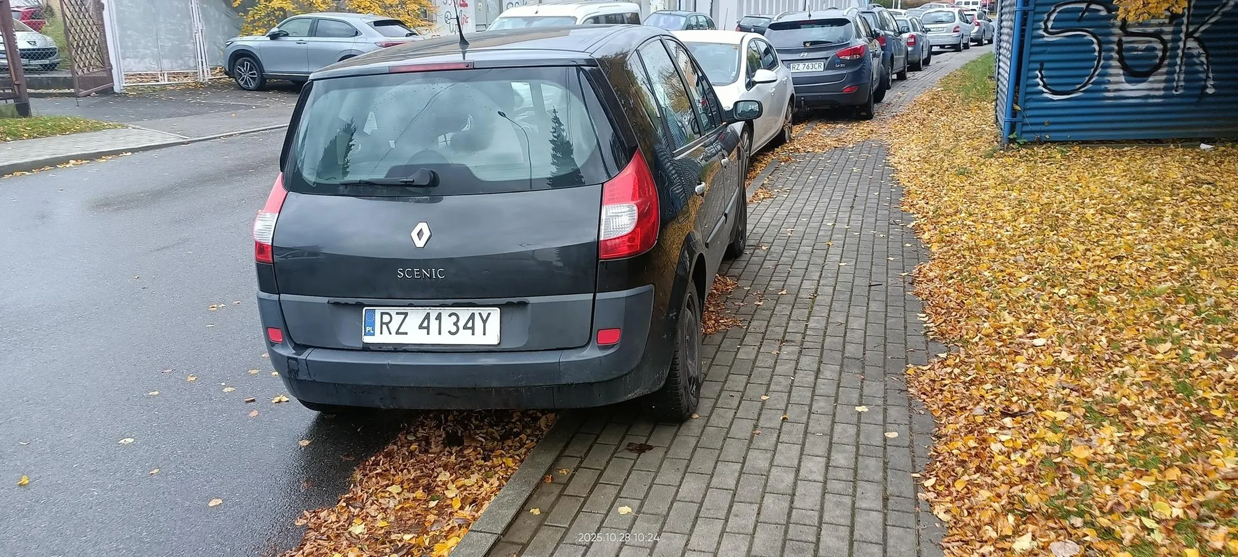 Święta krowa chodnikowa.