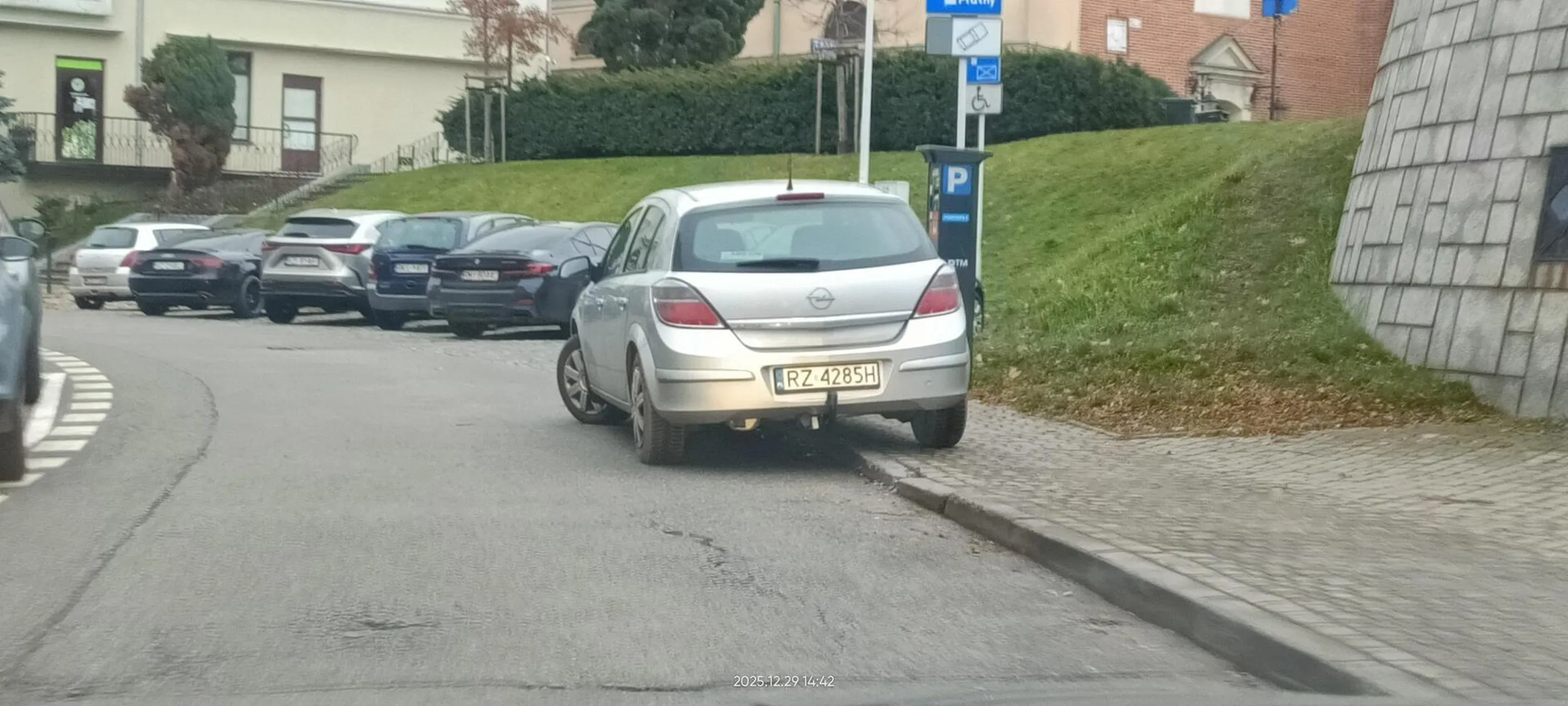 Święta krowa chodnikowa