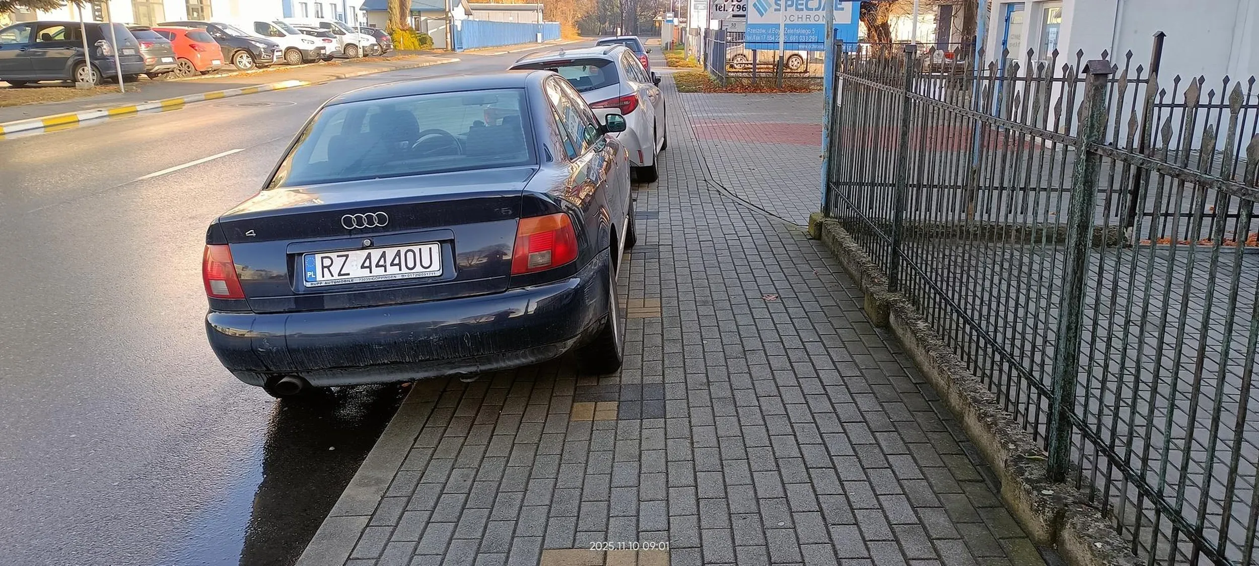 Święta krowa chodnikowa