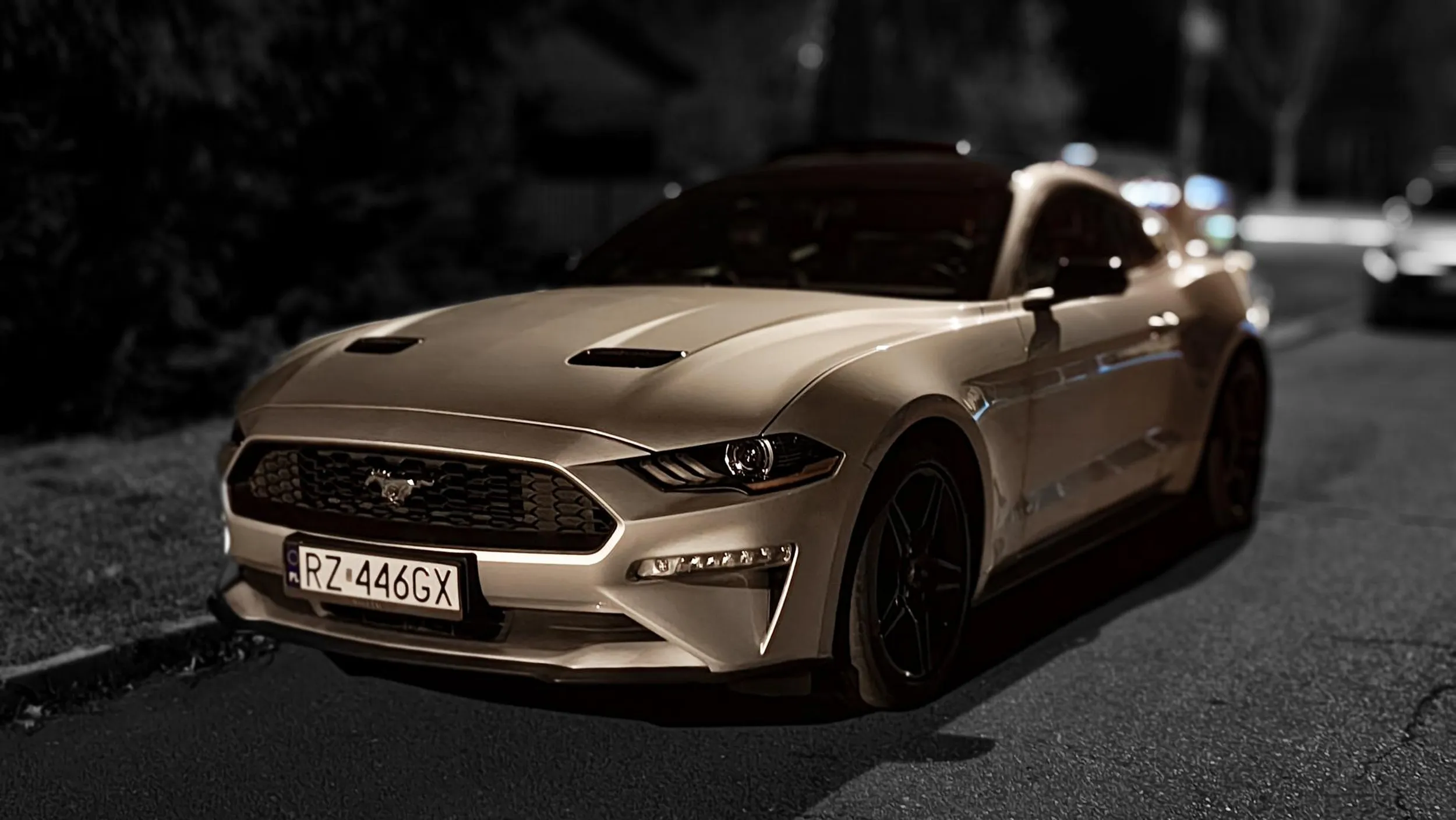 Ale fajniutkie ;) nawet fotkę udało się zrobić