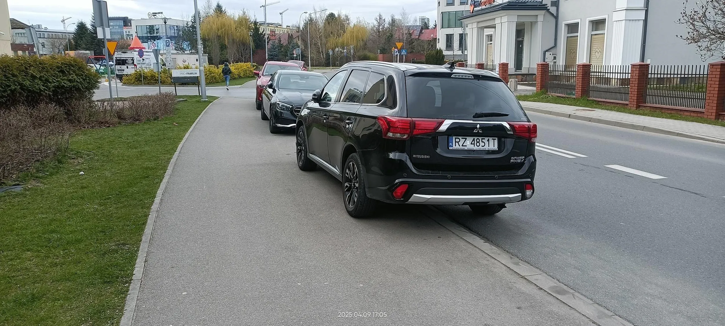 Święta krowa chodnikowa.