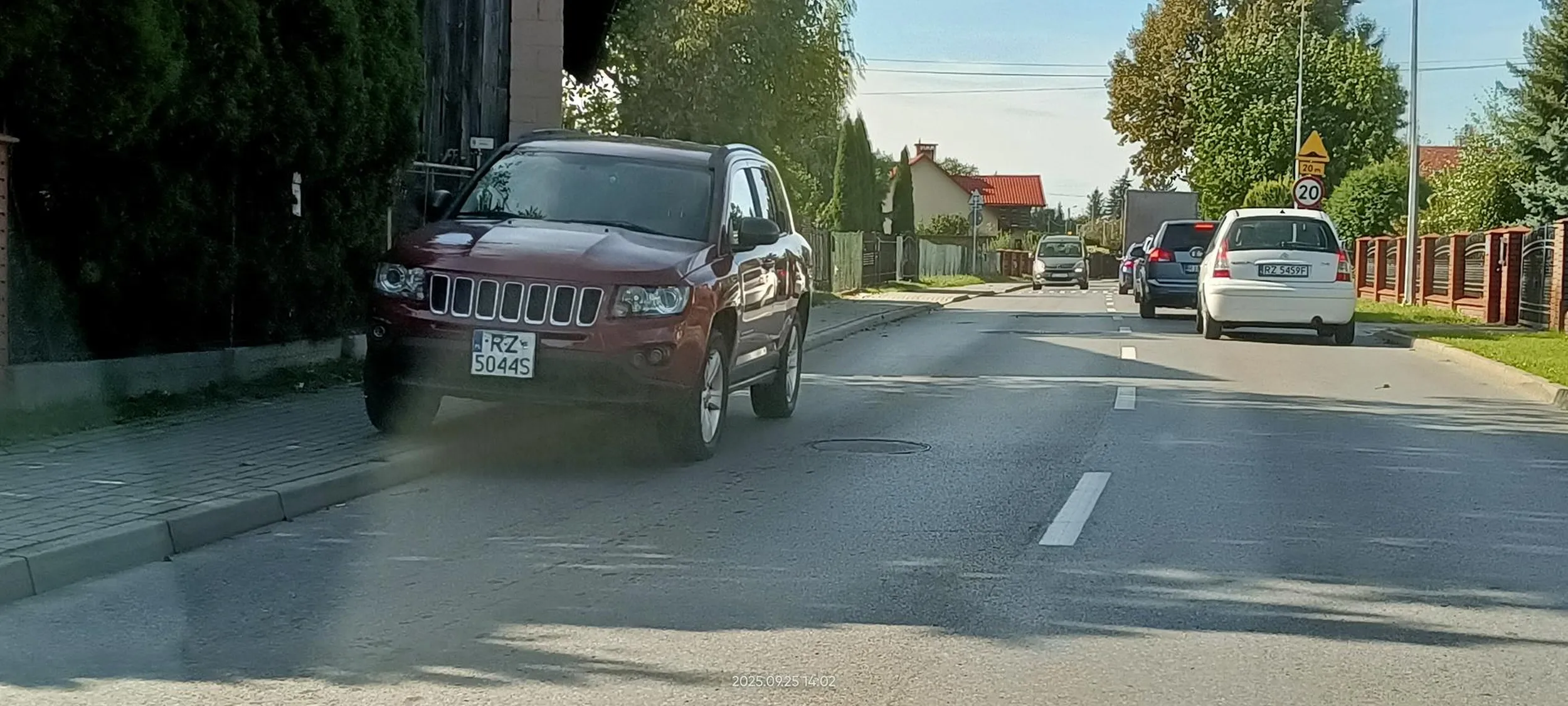 Święta krowa chodnikowa.