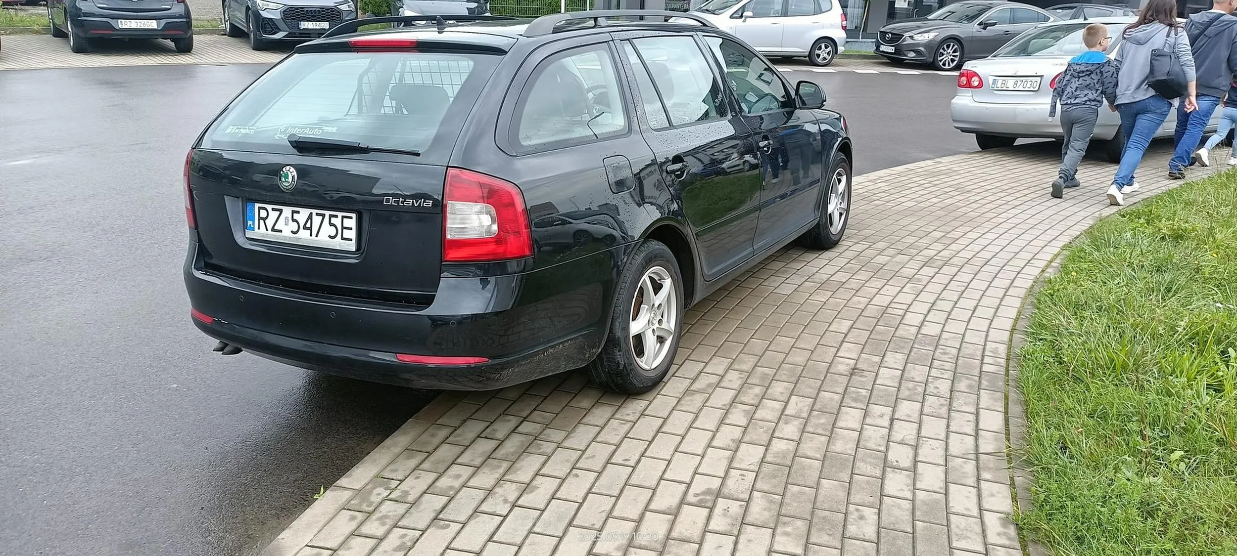 Święta krowa chodnikowa.