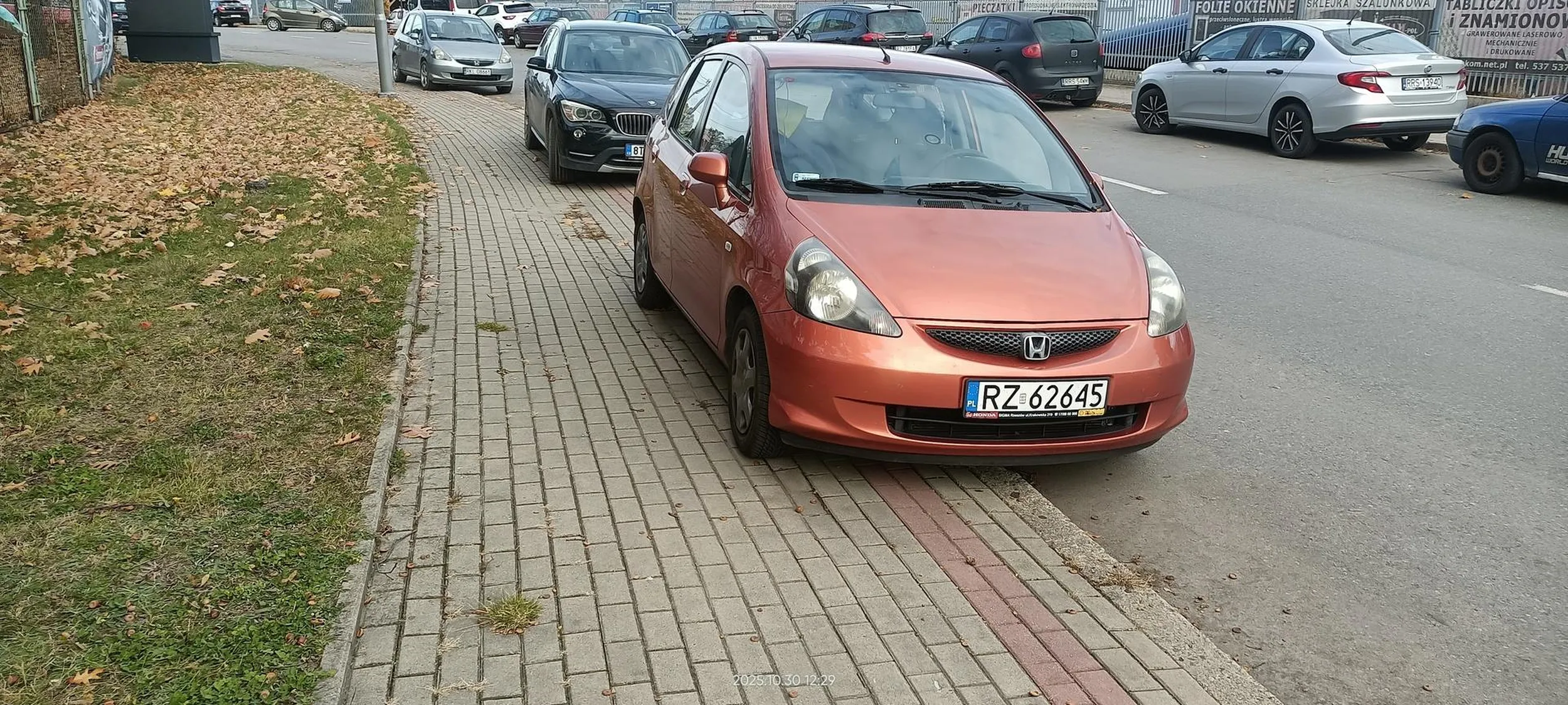 Święta krowa chodnikowa