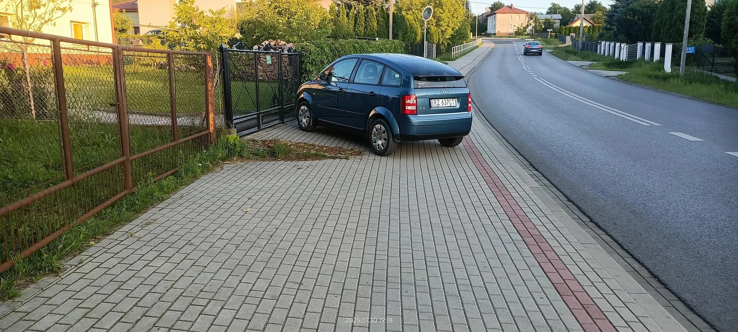 Święta krowa chodnikowa.