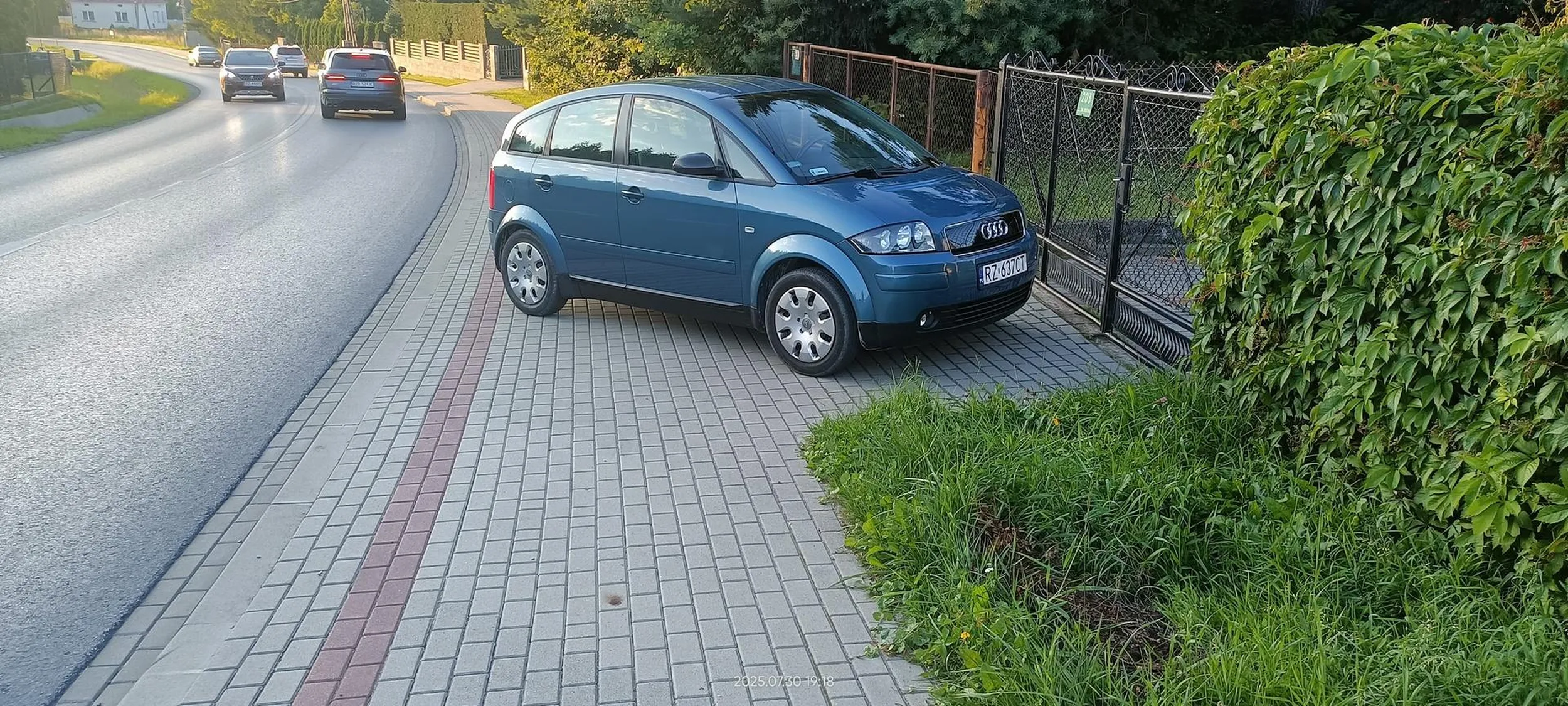 Święta krowa chodnikowa.