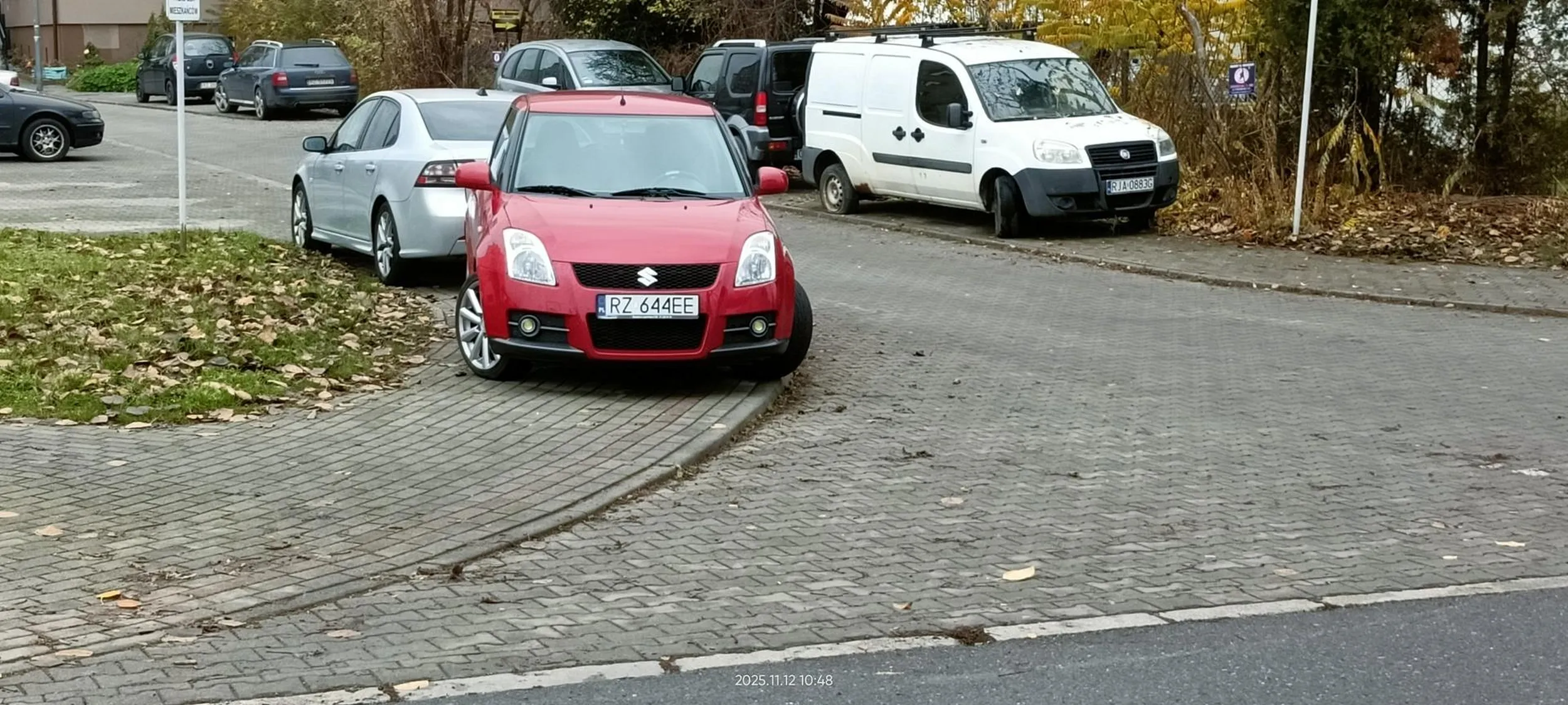 Święta krowa chodnikowa.