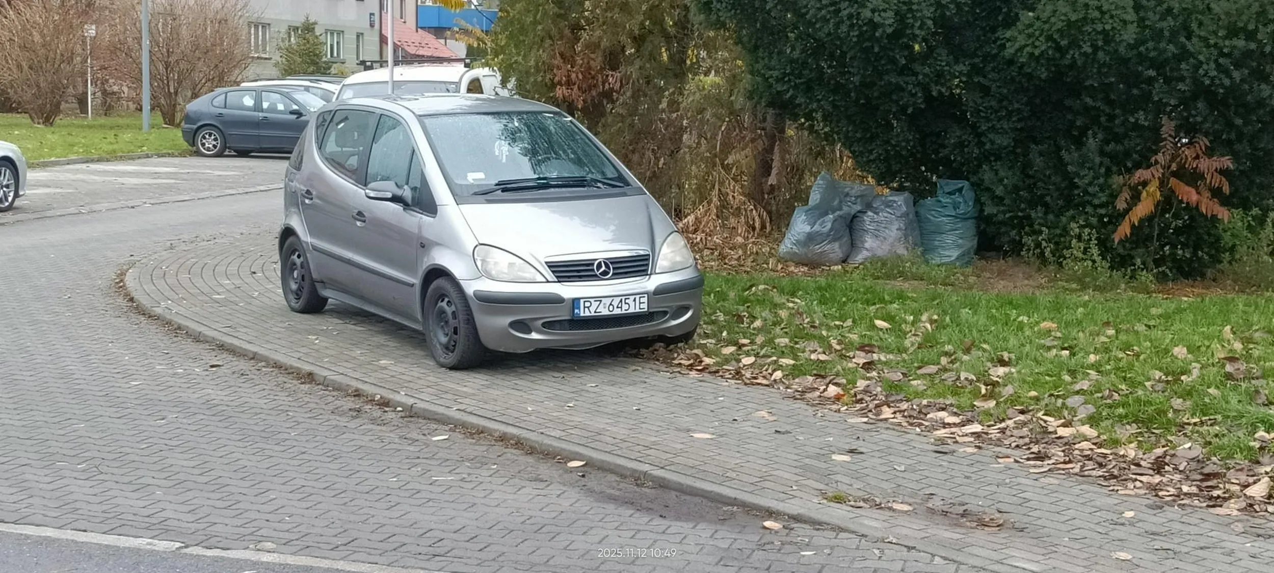 Święta krowa chodnikowa.