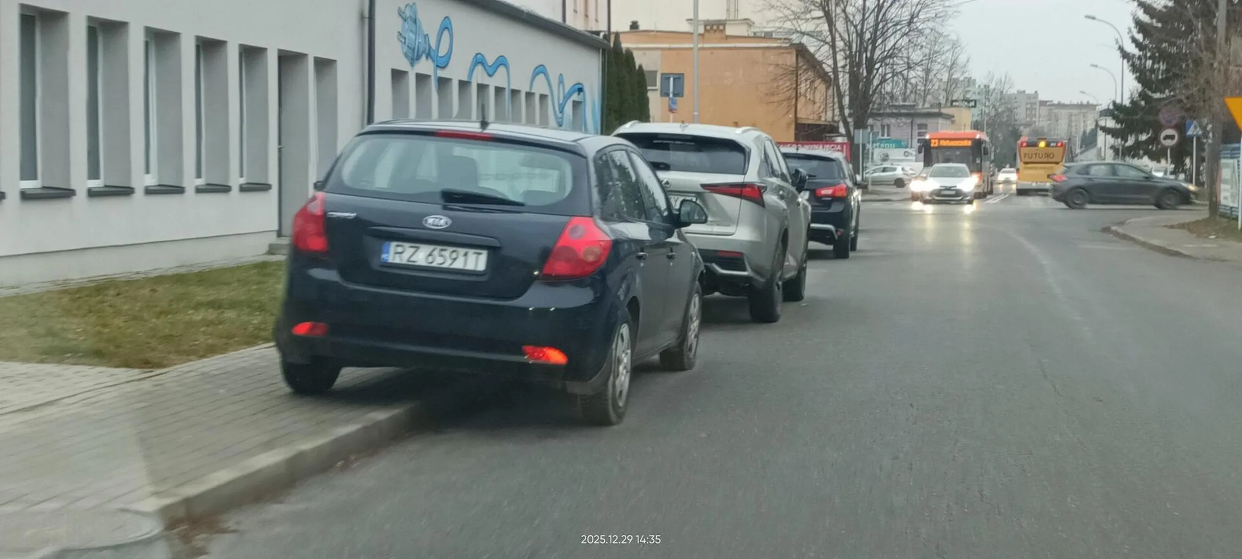 Święta krowa chodnikowa