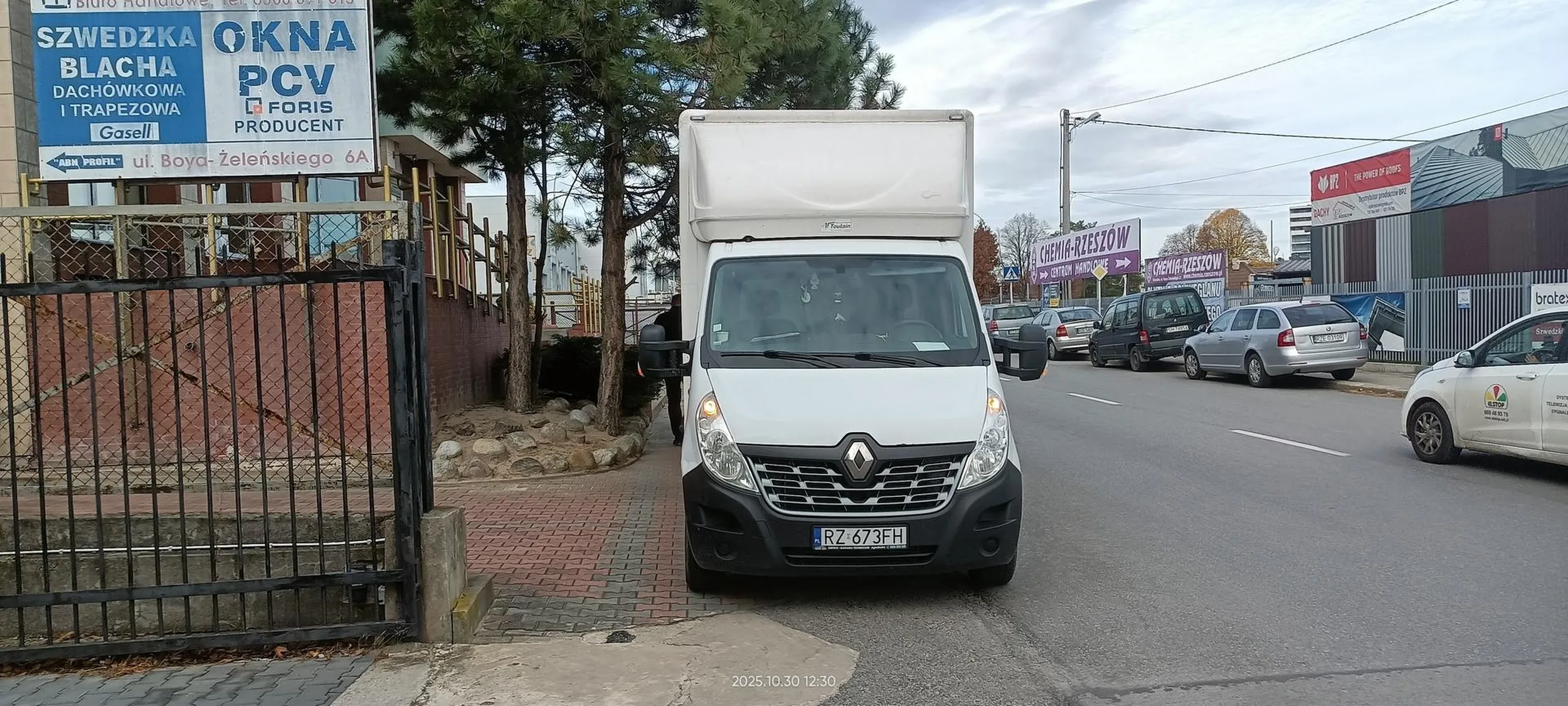 Święta krowa chodnikowa