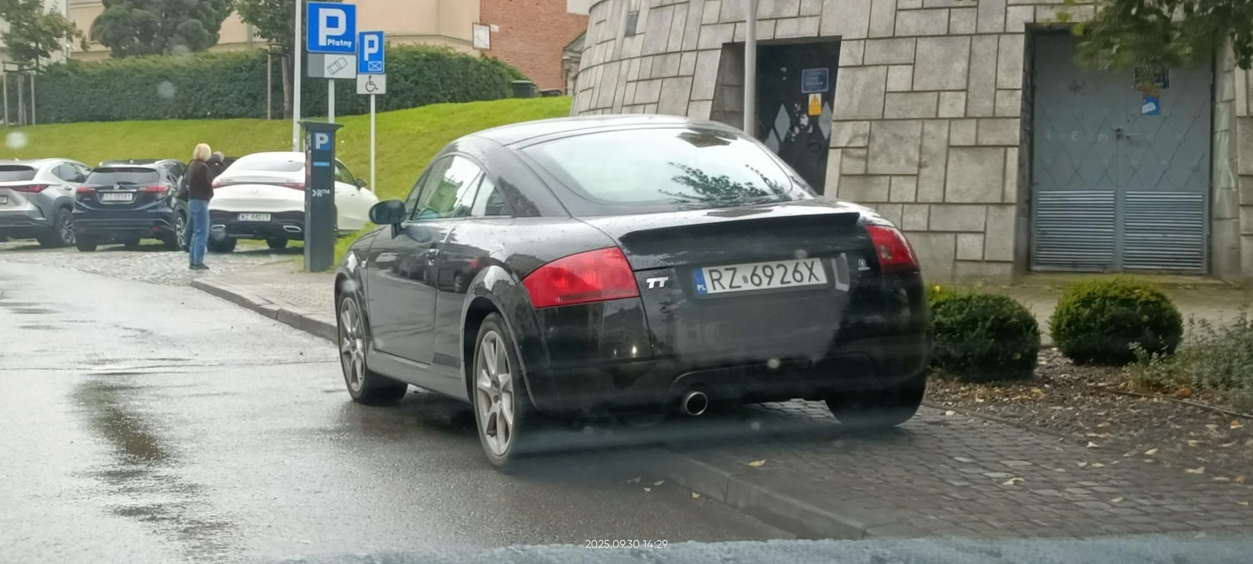 Święta krowa chodnikowa.