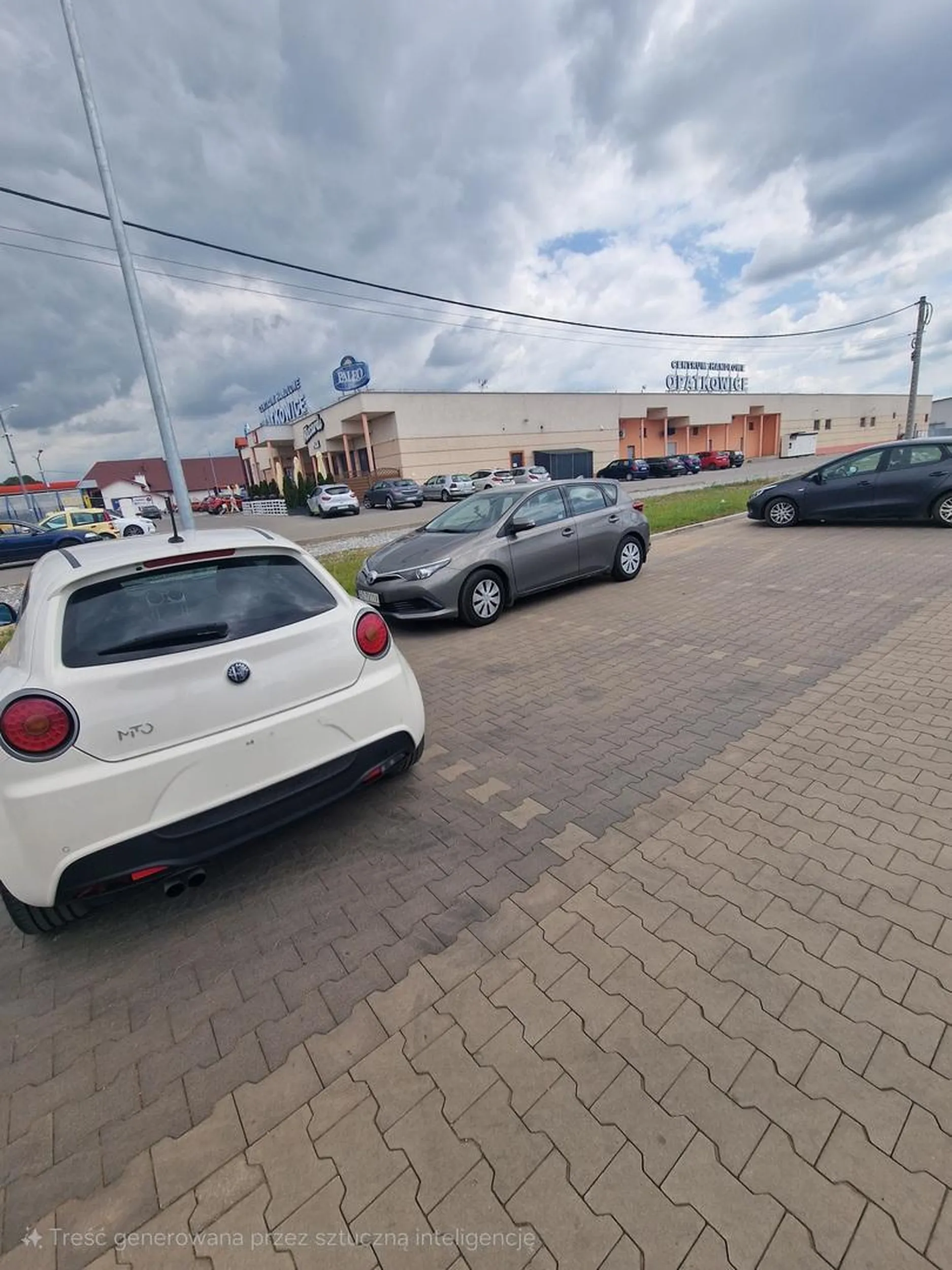 Mistrz z Rzeszowa, przerosło go parkowanie :)