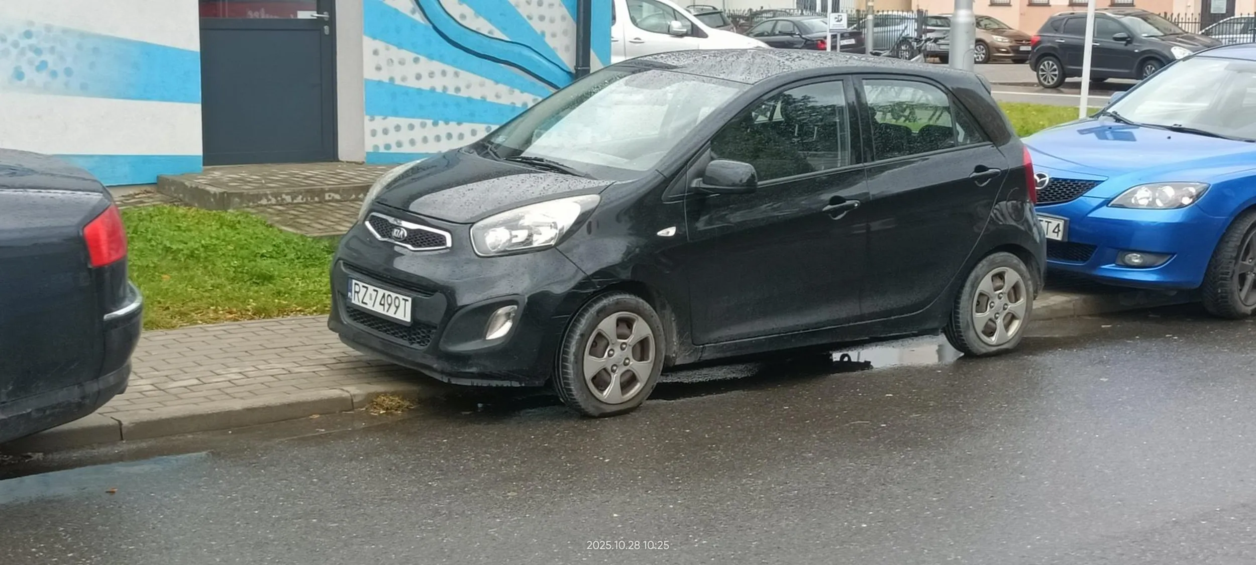 Święta krowa chodnikowa.