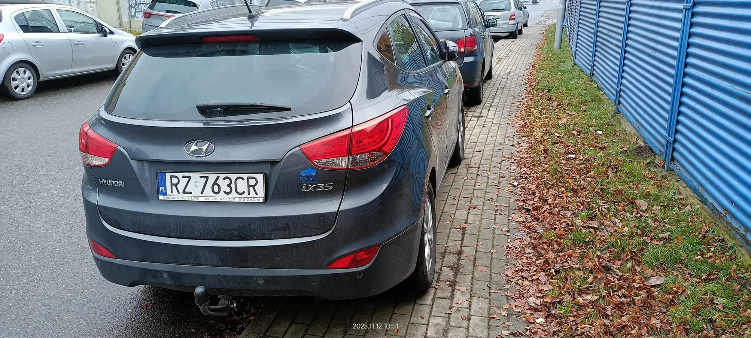 Święta krowa chodnikowa.