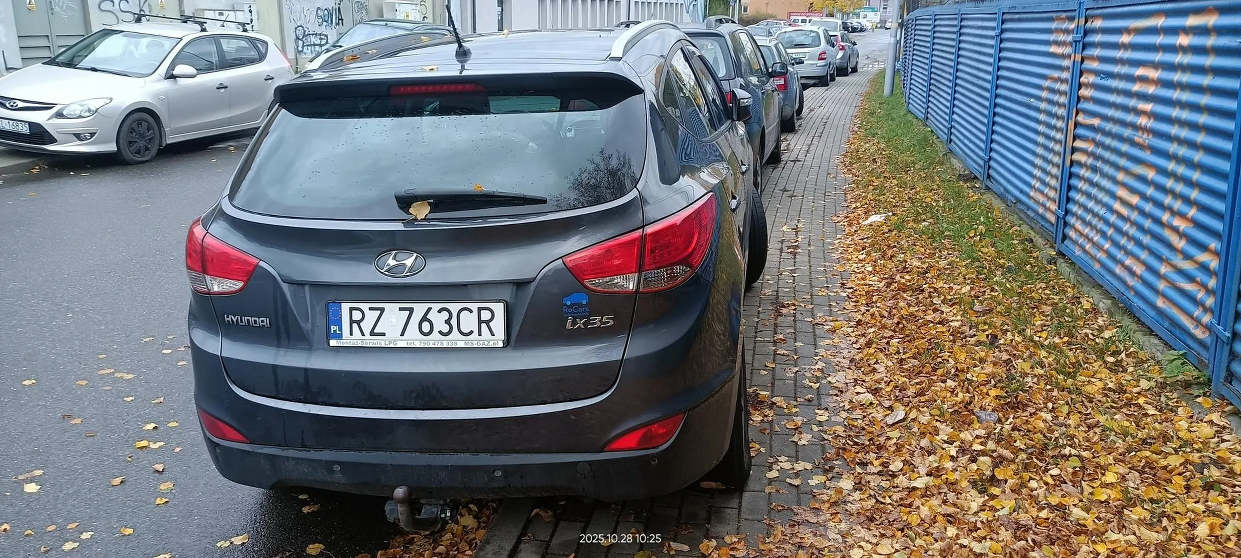 Święta krowa chodnikowa.