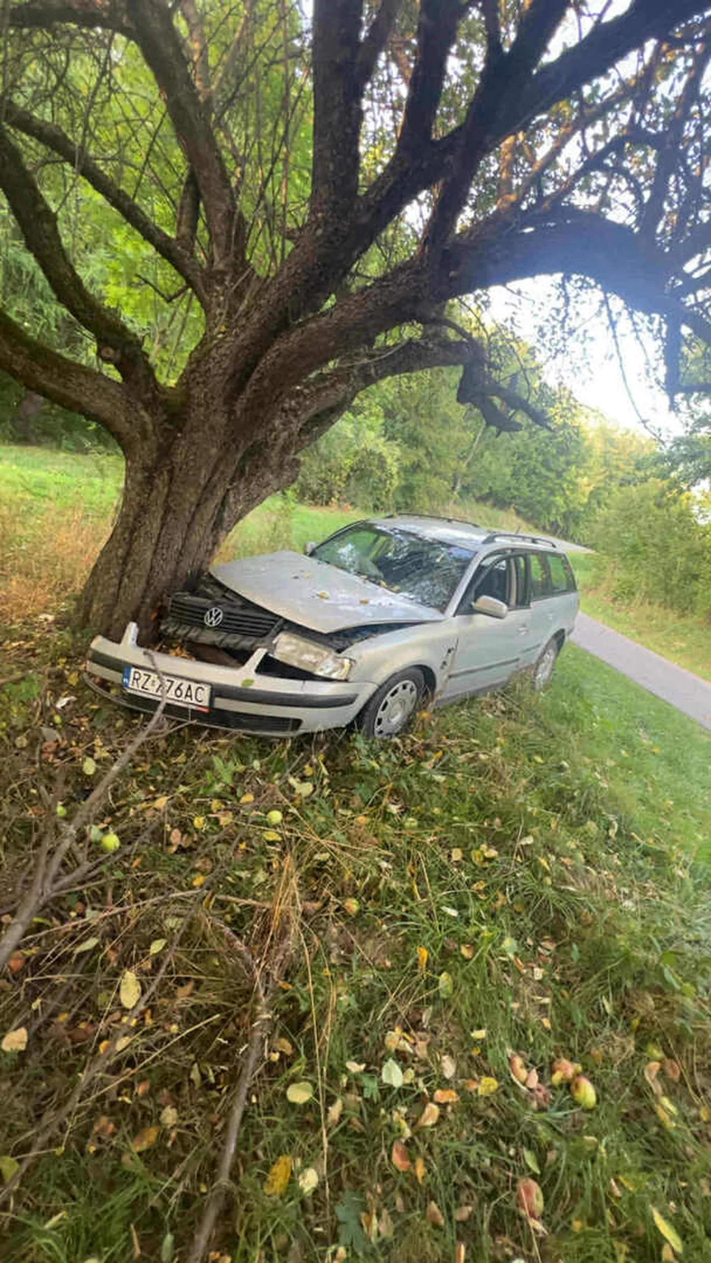 Nieźle wyjebales wariacie