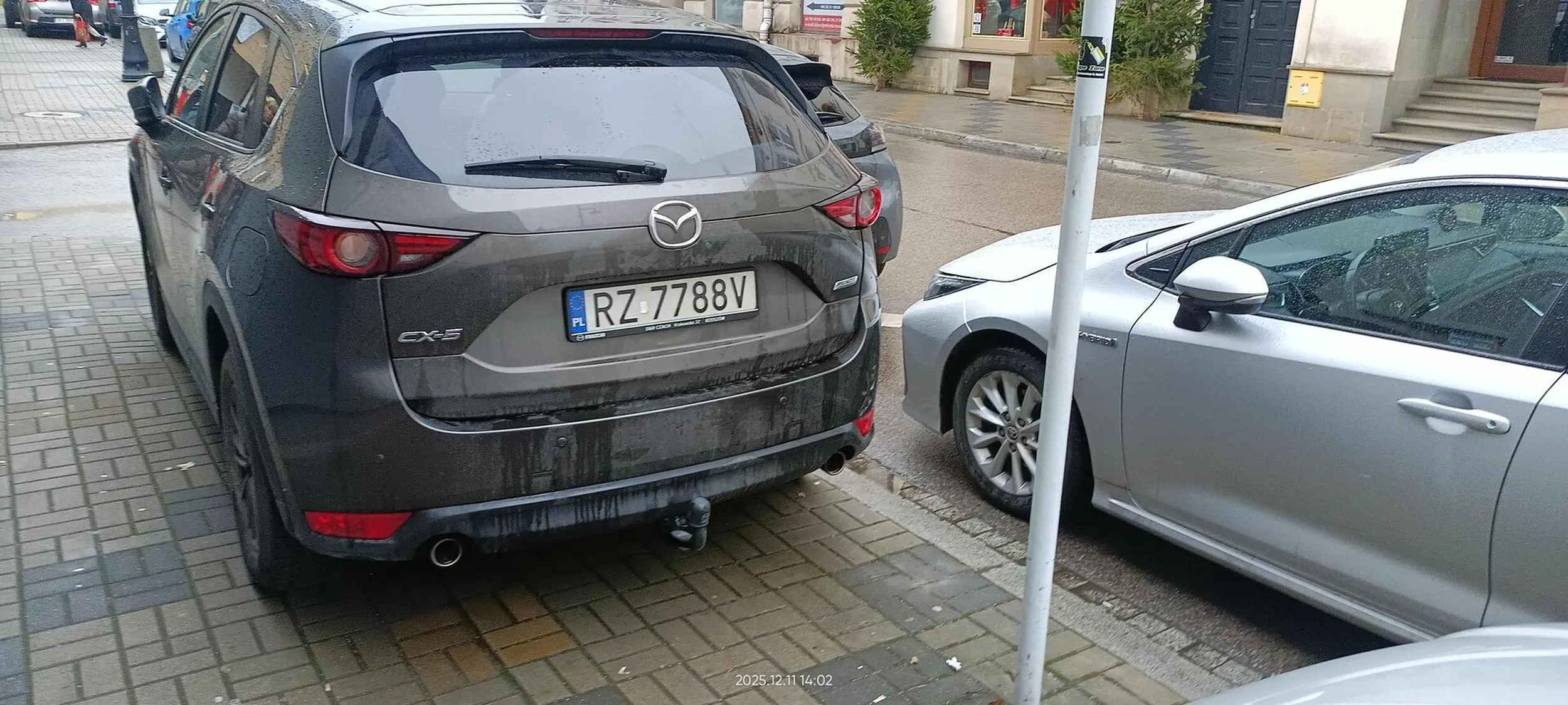 Święta krowa chodnikowa. Nie tylko parkuje, ale też jeździ po chodniku.