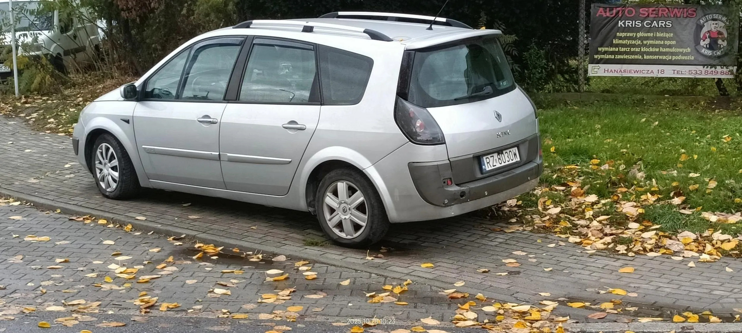 Święta krowa chodnikowa.