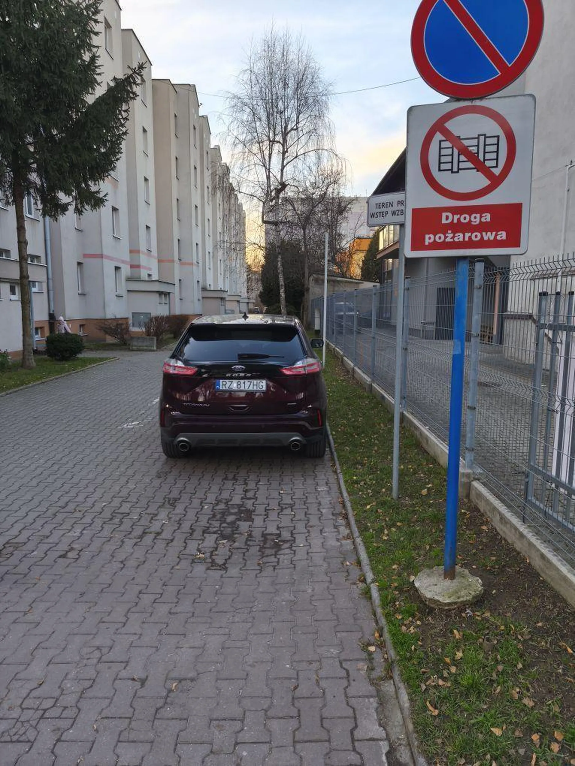 Święta krowa na drodze pożarowej.