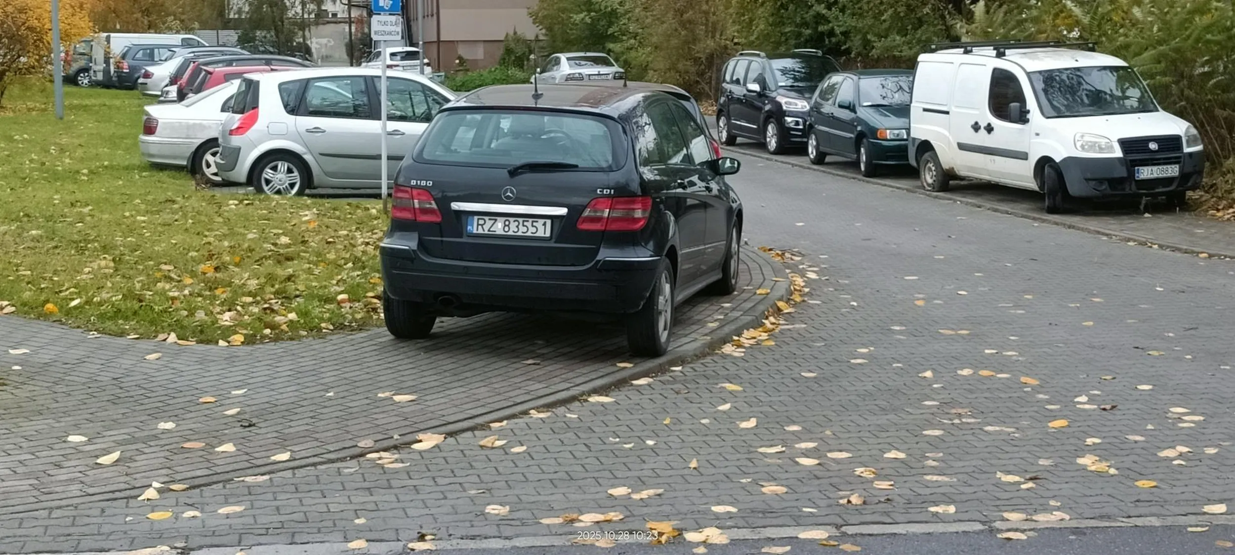 Święta krowa chodnikowa.