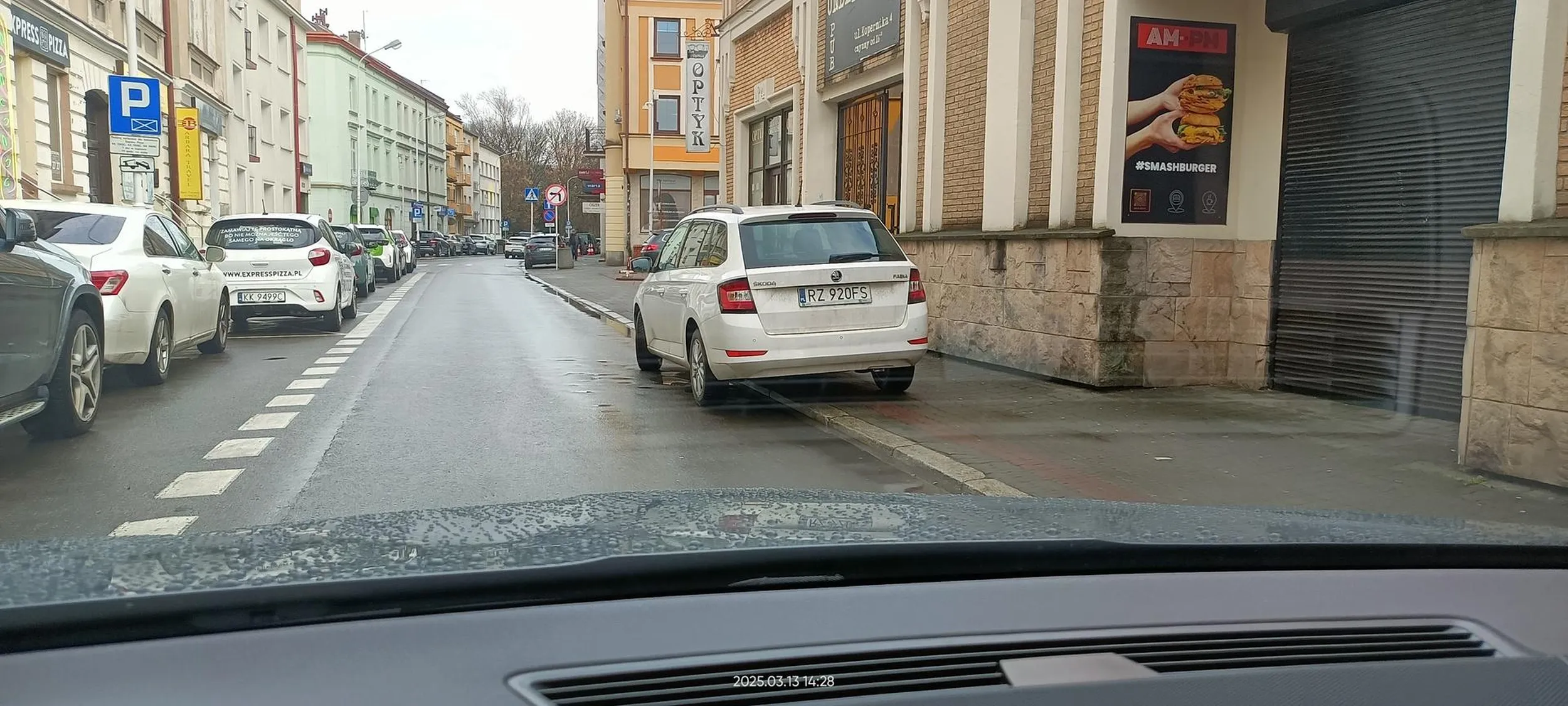 Święta krowa rzeszowska.