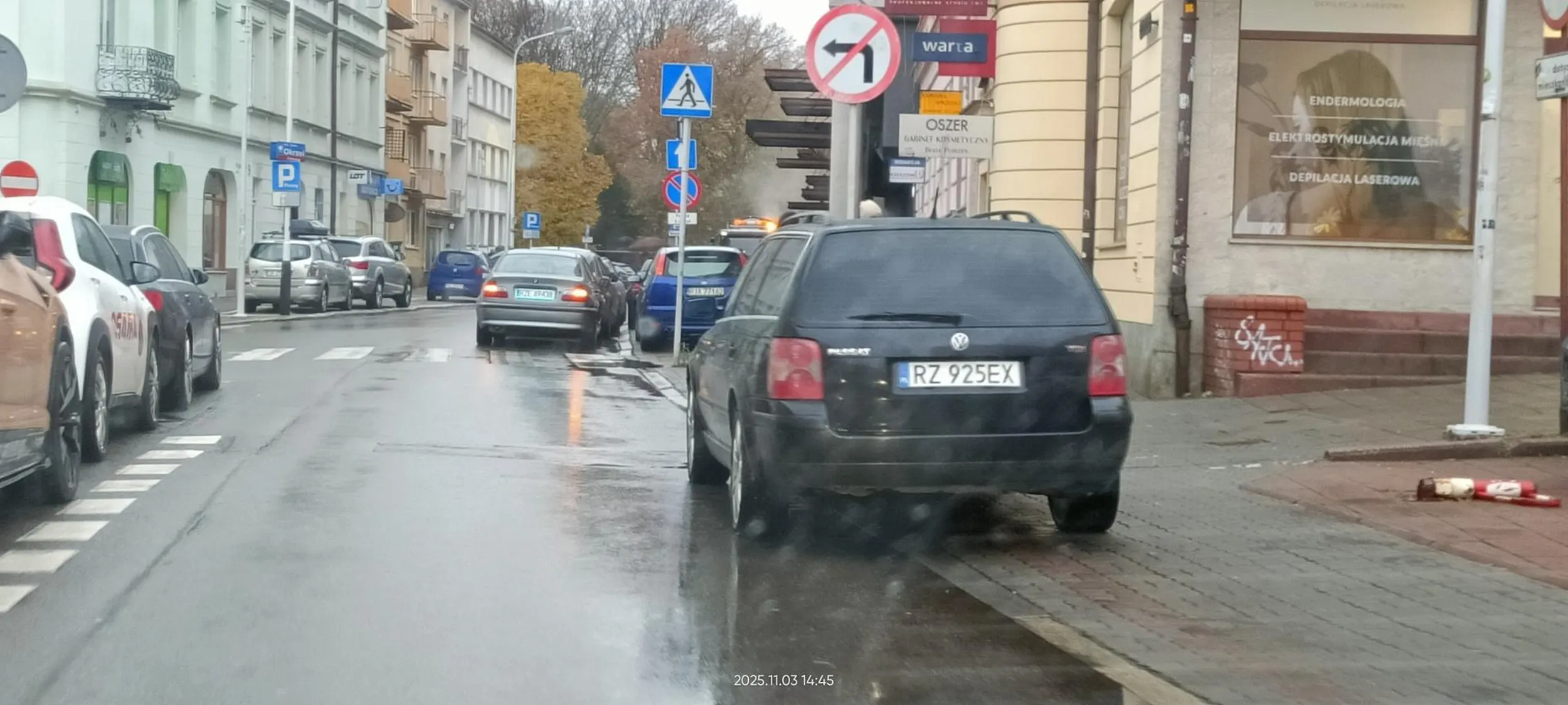 Święta krowa chodnikowa