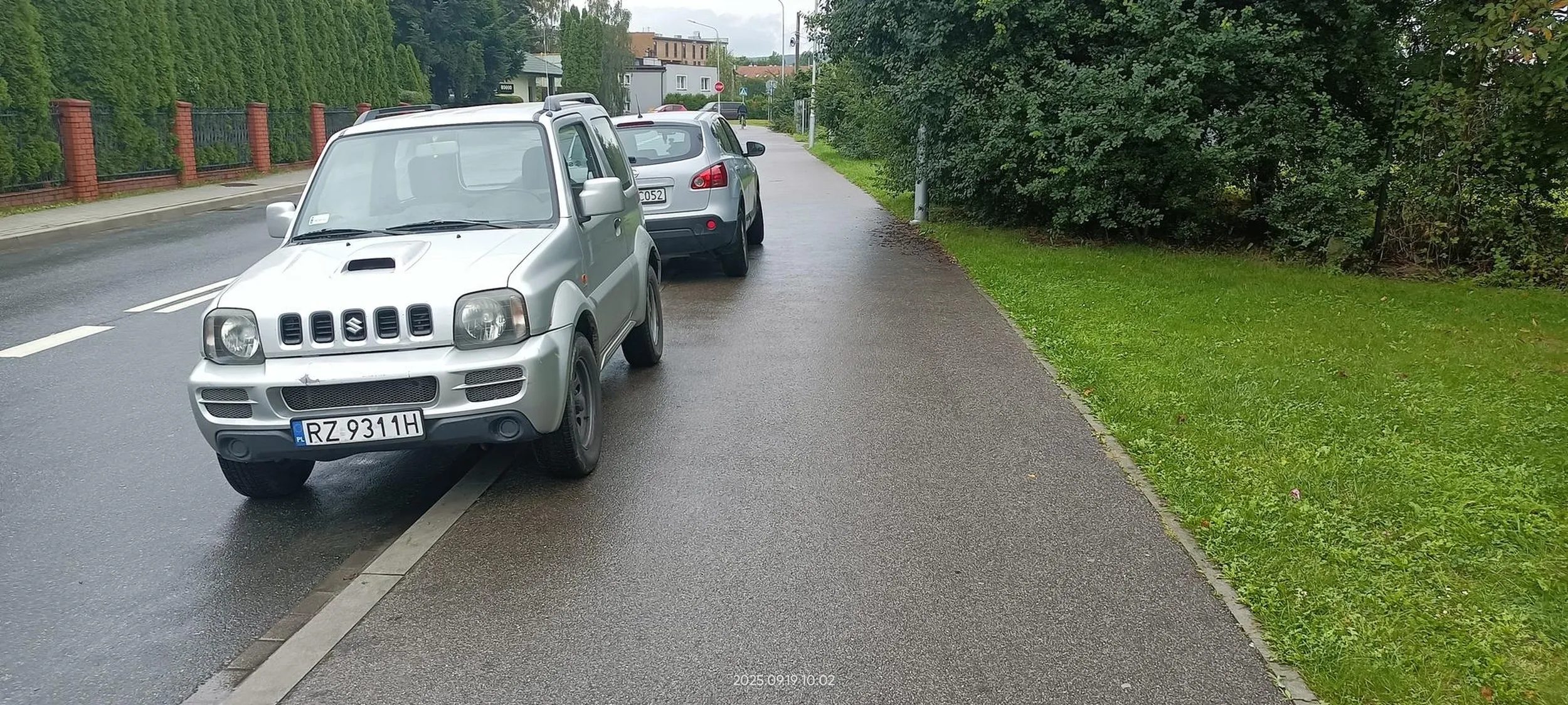 Święta krowa chodnikowa.