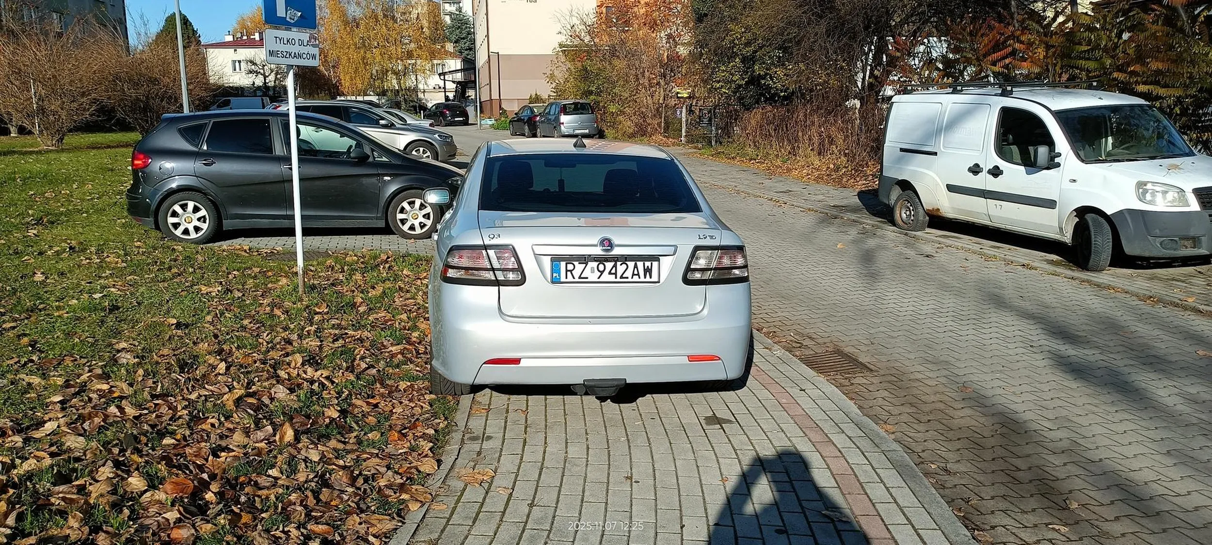 Święta krowa chodnikowa