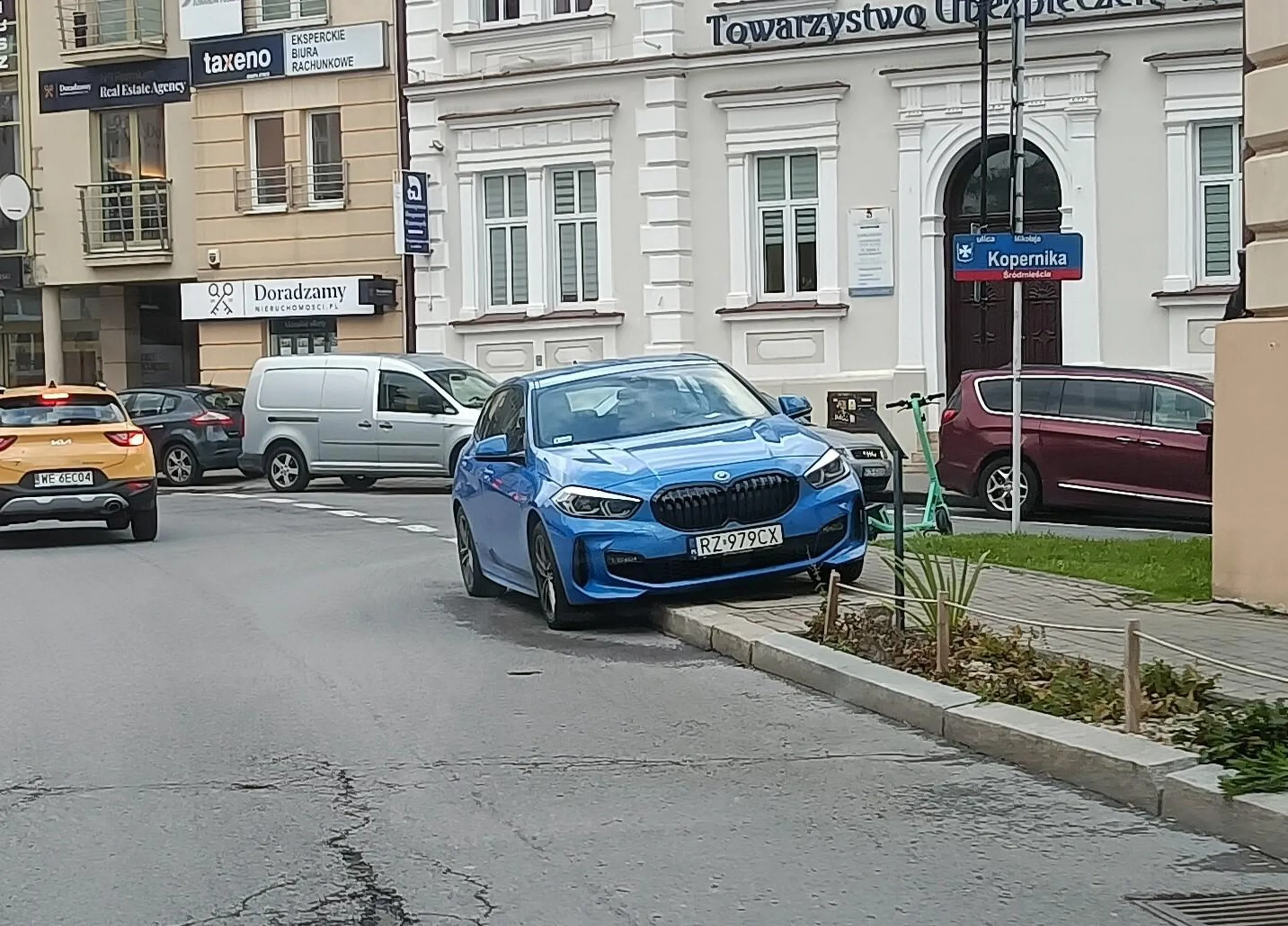 Święta krowa chodnikowa