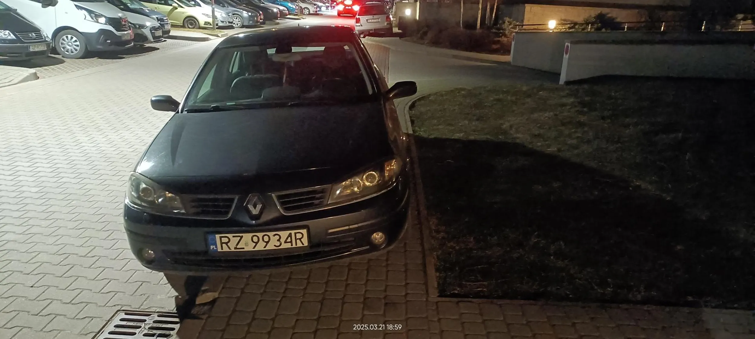 Święta krowa chodnikowa.