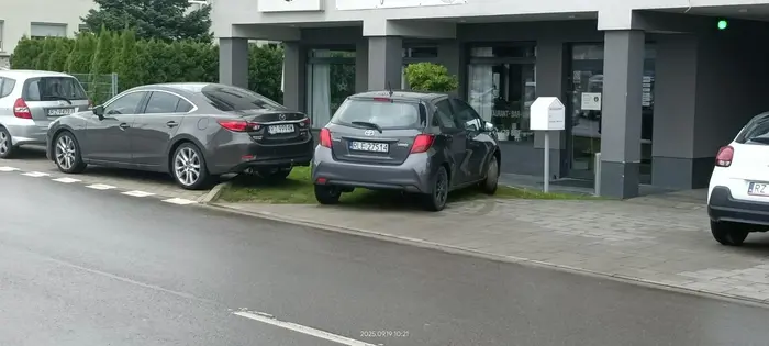 Święta krowa trawnikowa.