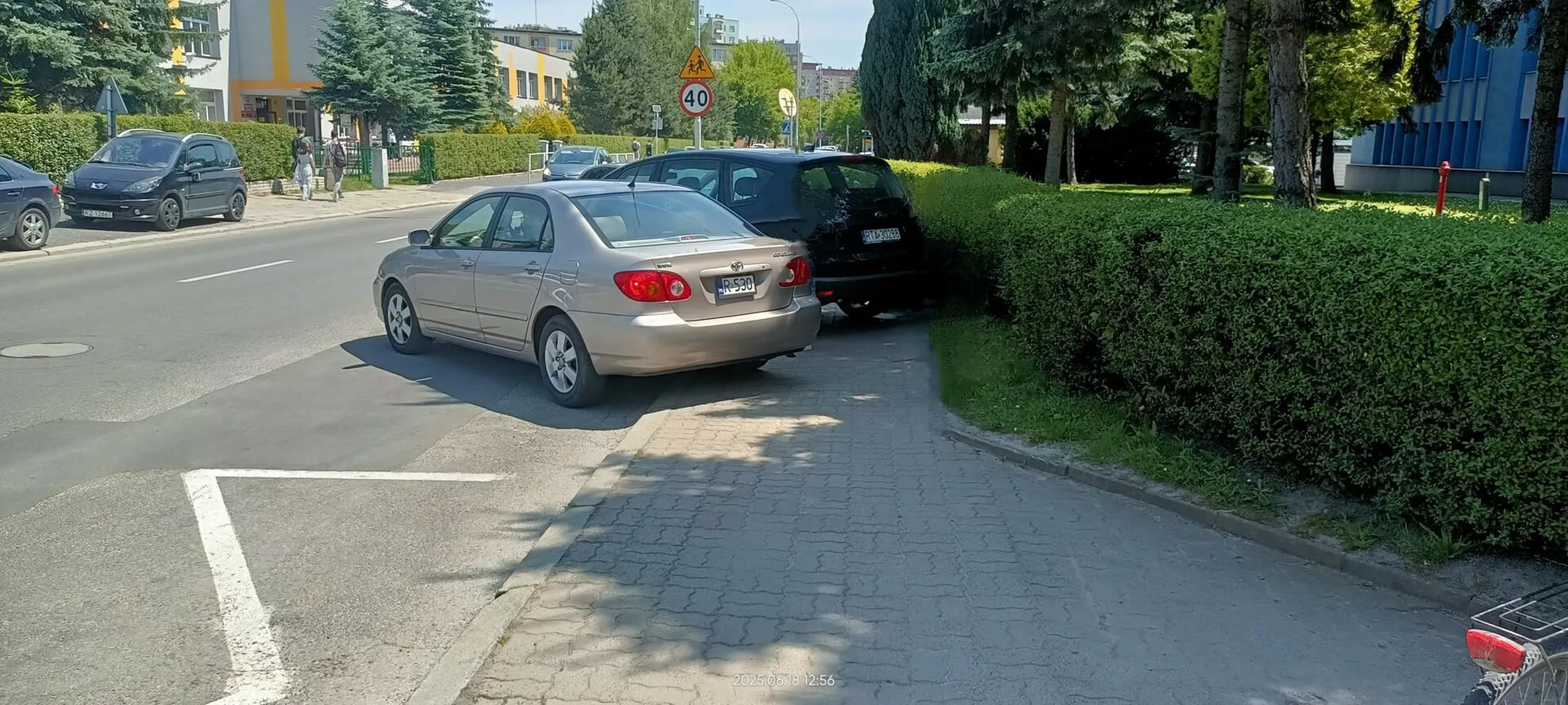 Święta krowa chodnikowa.