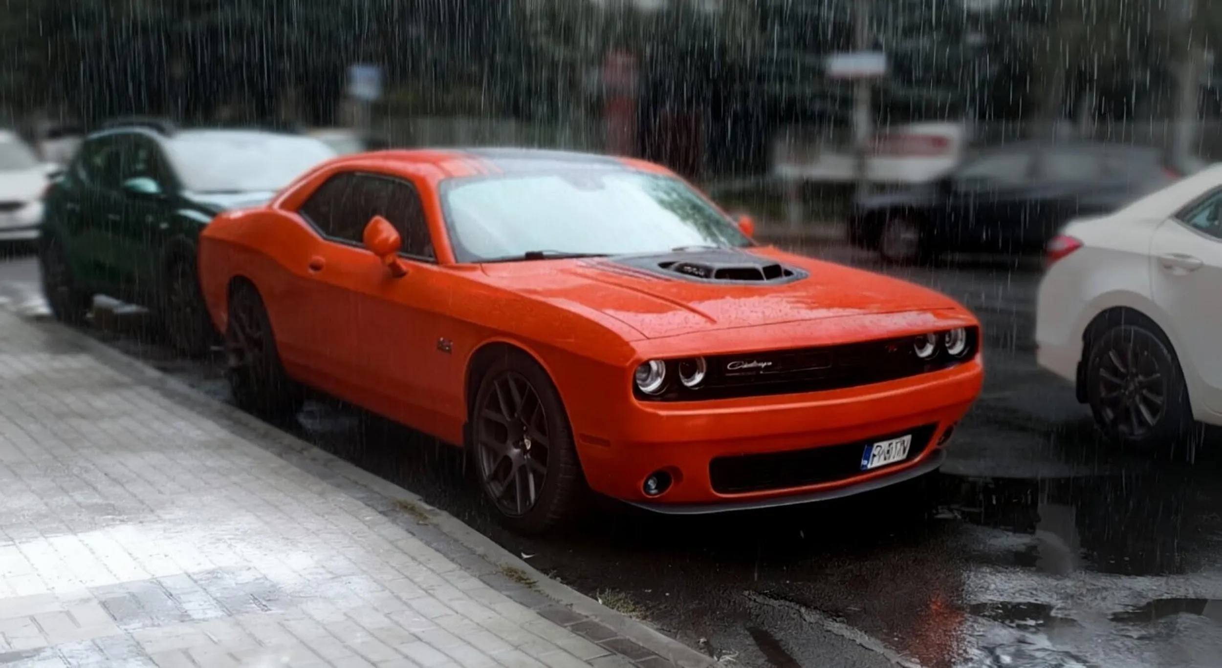 Przykuwa oko ;) pozwoliłam sobie zrobić zdjęcie