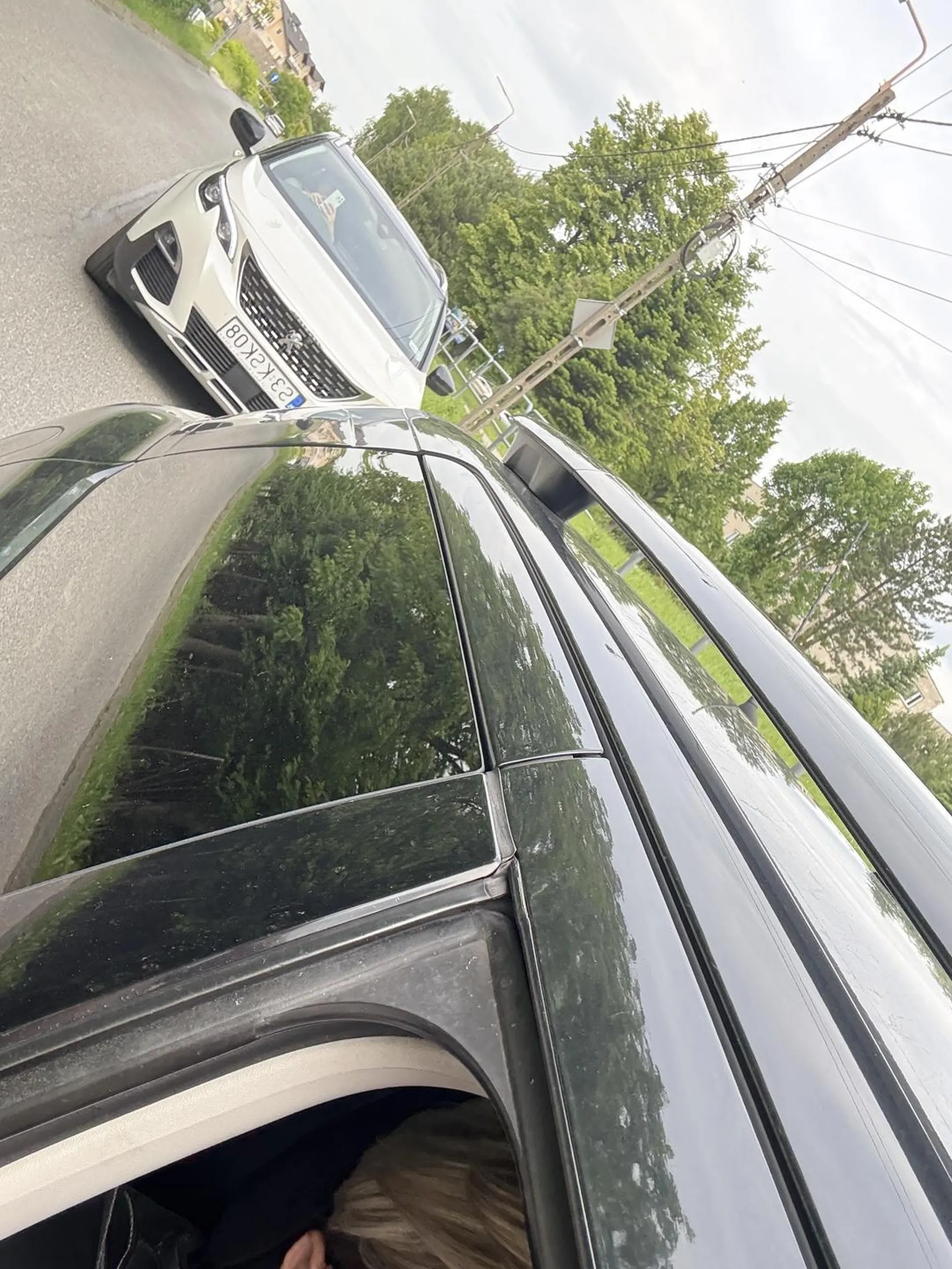 Pani trąbi na każdym skrzyżowaniu , na którym samochody prawidło zatrzymują się przed prawoskretem z zieloną strzałką. Pani trąbi i pogania kierowców , w sytuacjach jeżeli na skrzyżowaniu trzeba dłużej poczekać . Na koniec fotografuje samochody kierowców , którzy zwracają jej uwagę