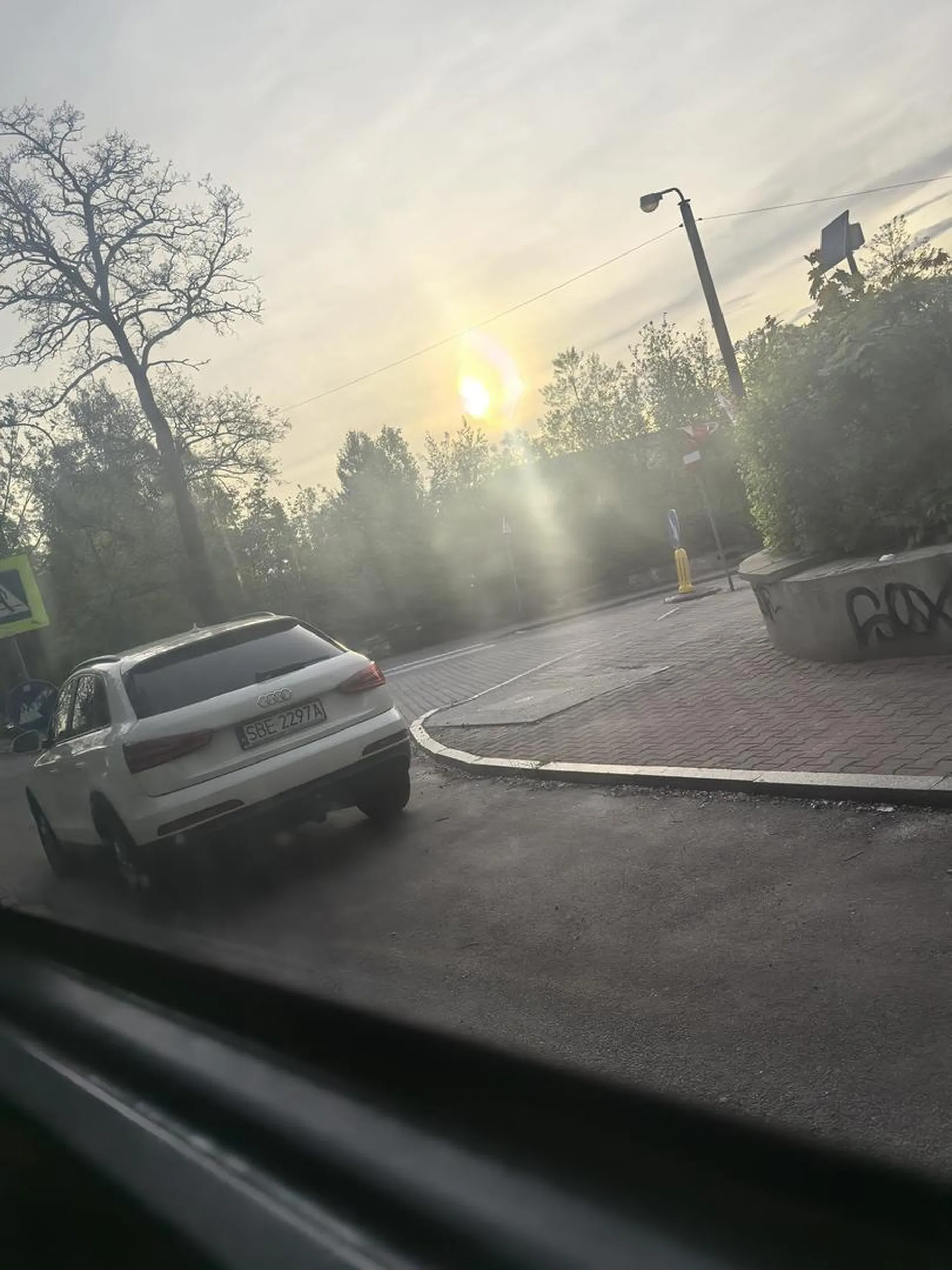 Damulka musi zaparkować więc stanie sobie na miejscu wyłączonym z ruchu. Tuż przed samym przejściem dla pieszych.