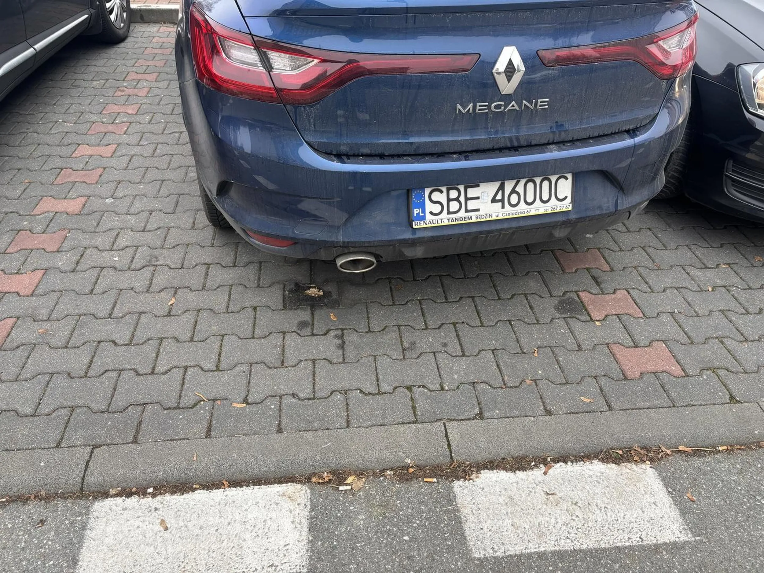 Mistrz parkowania szkoda że nie mam karnego bo bym okleiła całe auto