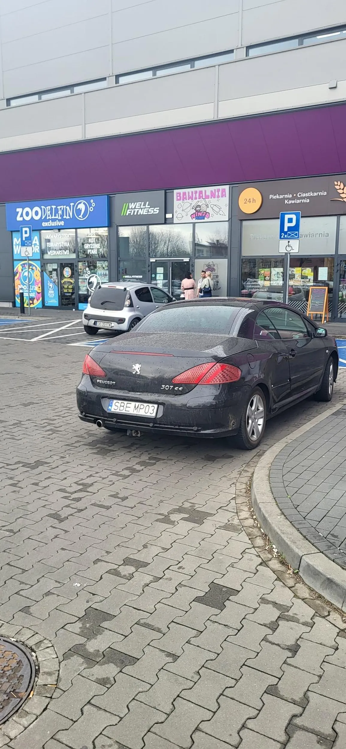 Nauczyć się parkować