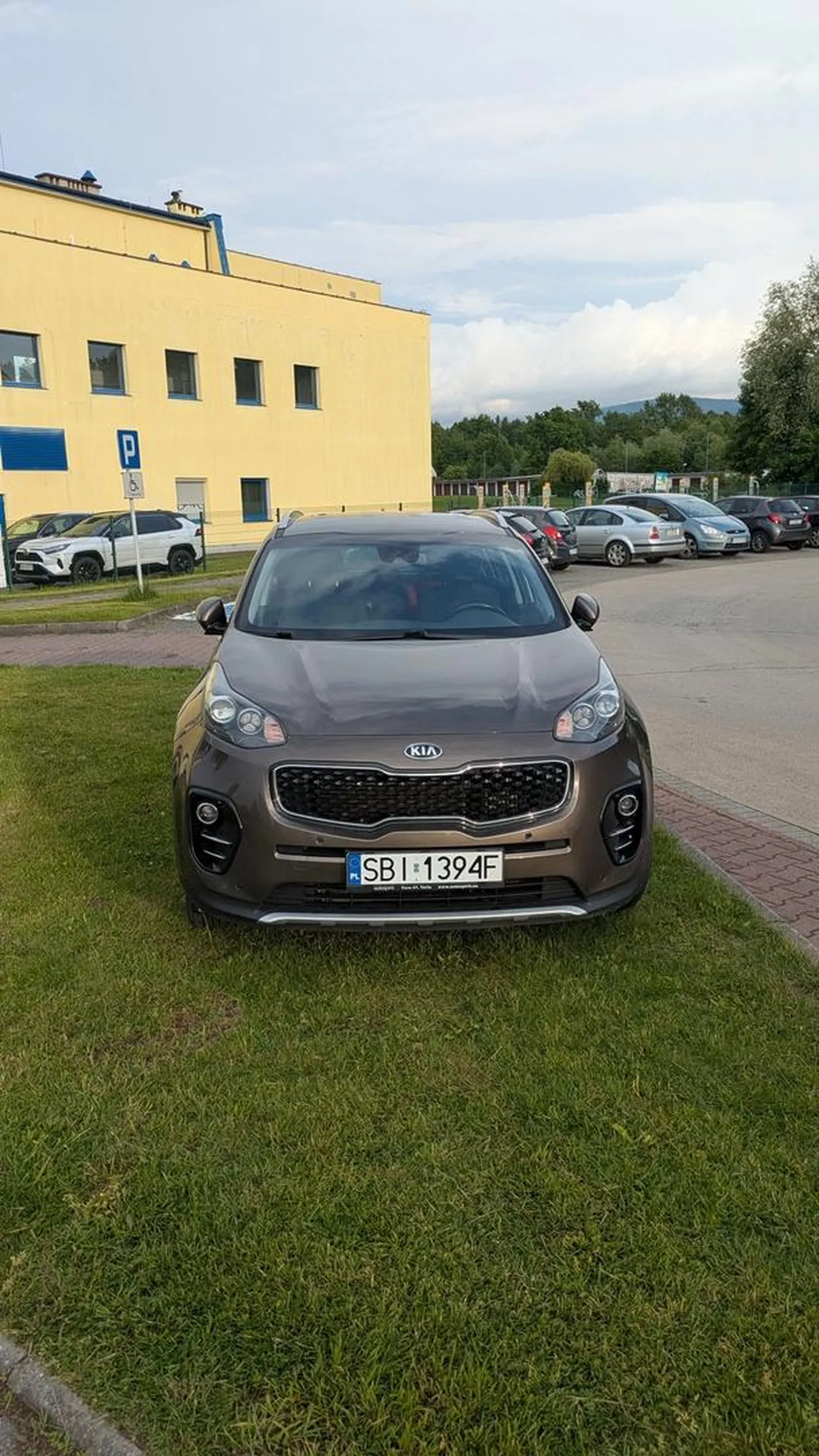 Mam samochód to zaparkuje gdzie mi się podoba, nawet jeśli jest to trawnik.