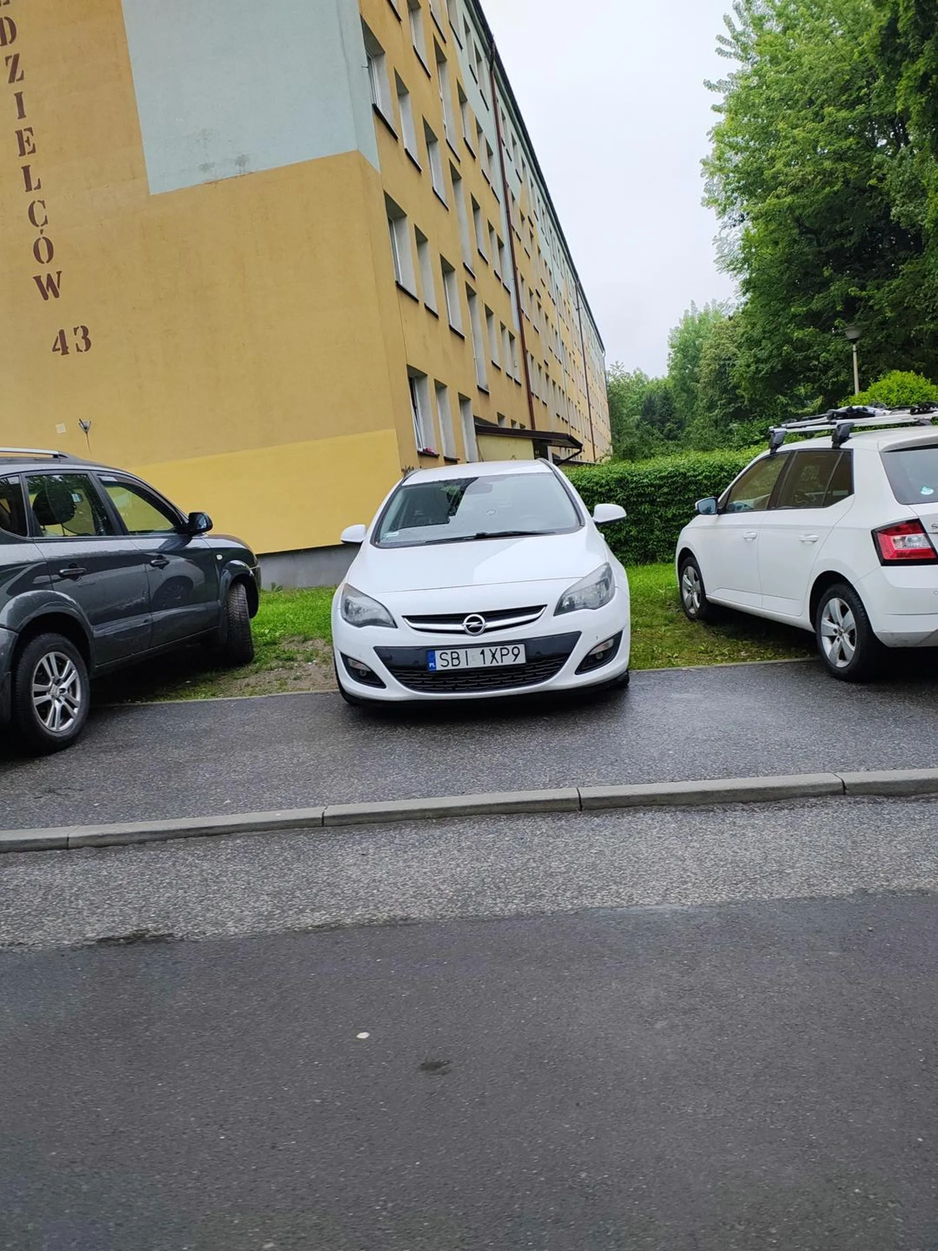 To nie jest parking, tylko chodnik i trawnik.