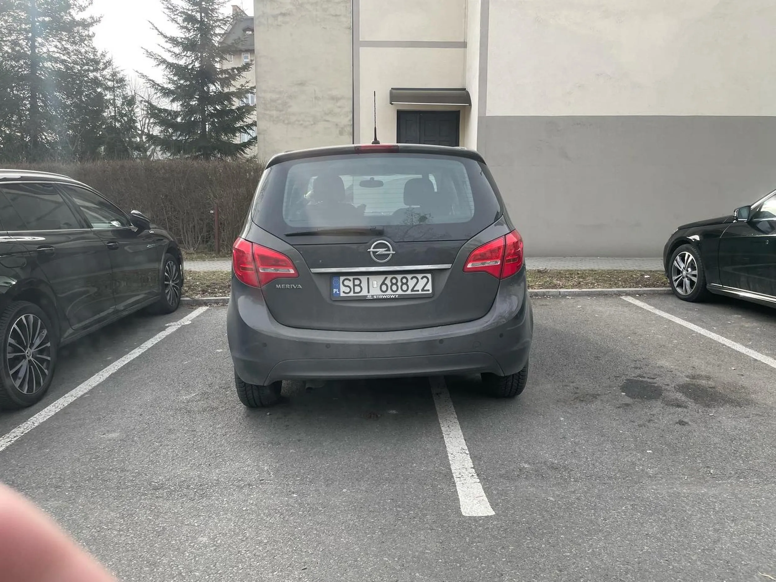 no co tu więcej mówić cipa