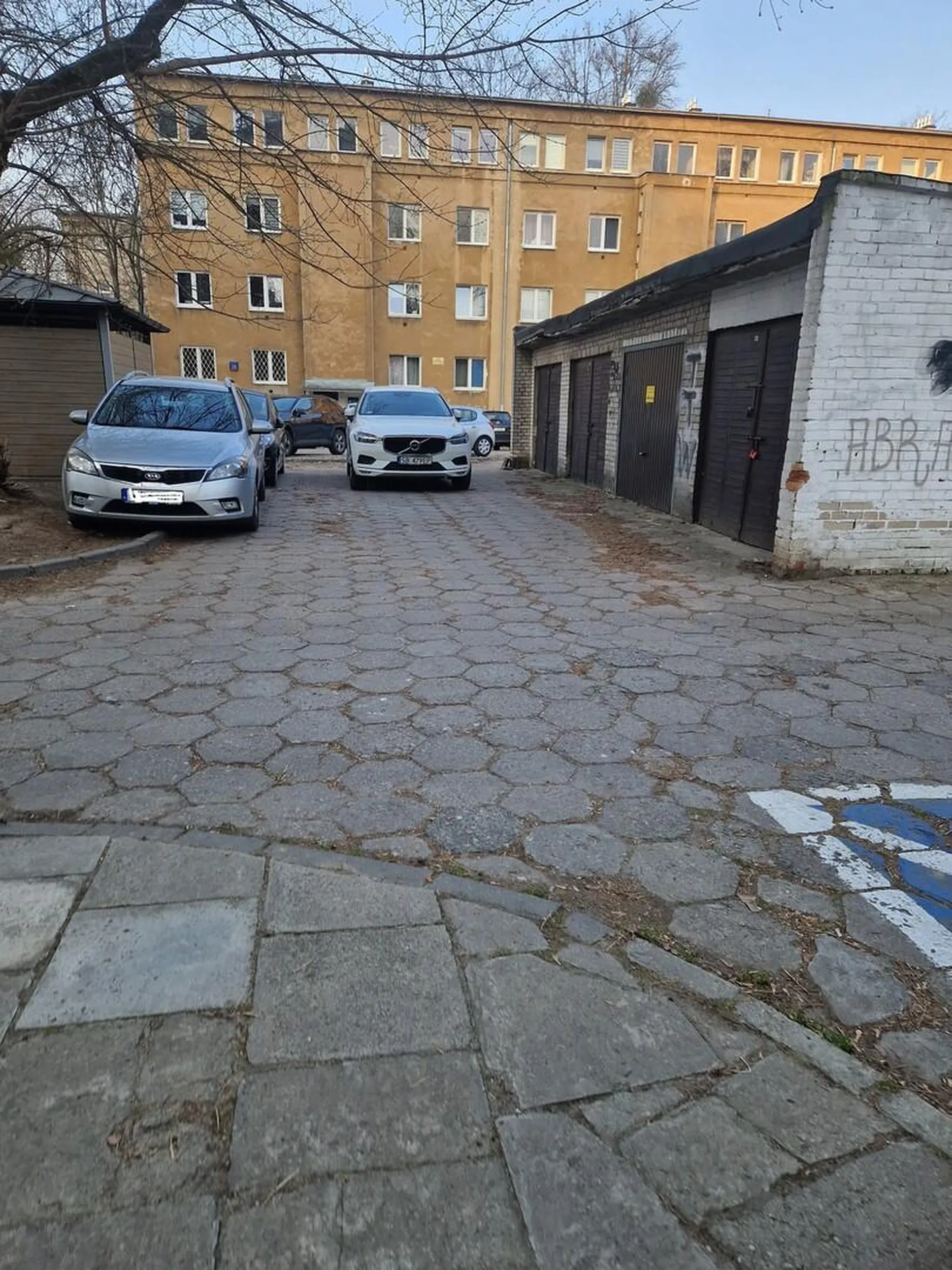 Siano zamiast mózgu ?