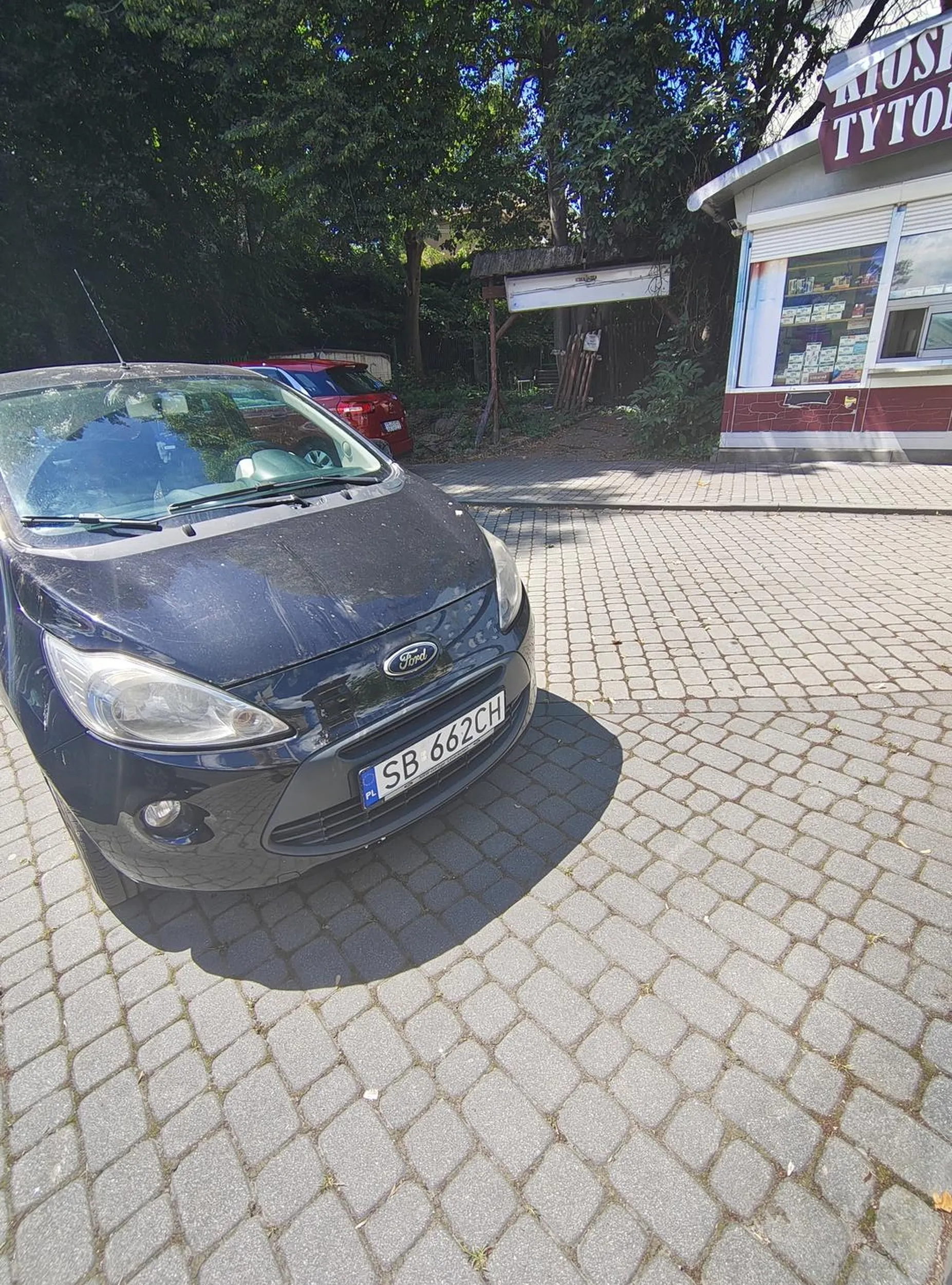 Jak zaparkować za darmo? Wystarczy wjechać na chodnik.